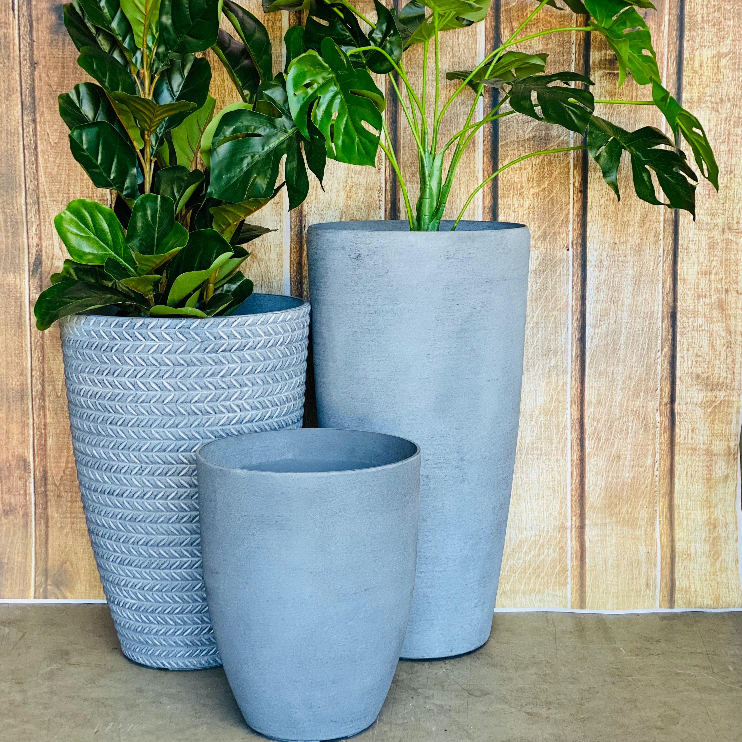 2003 Tolly Pot