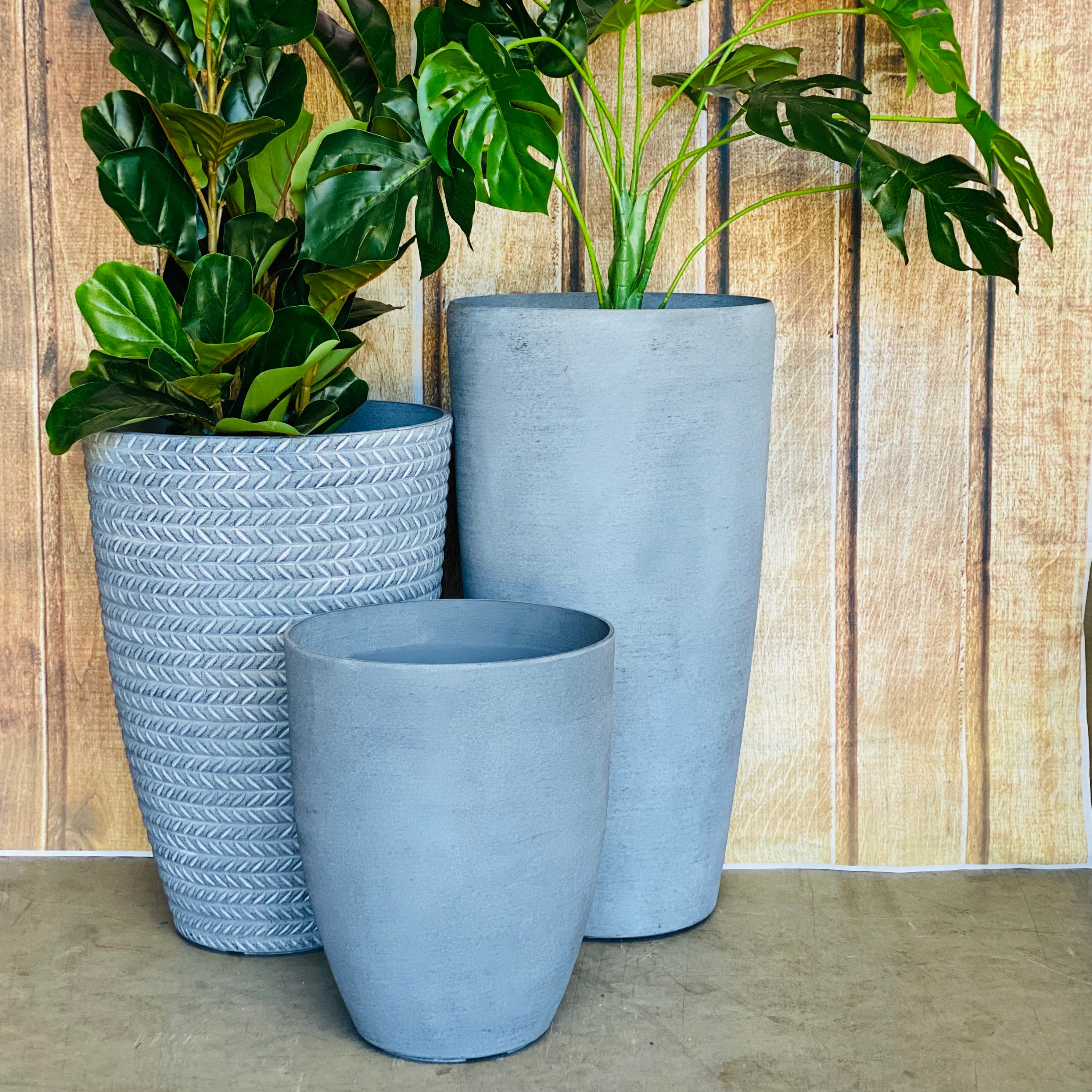 2074 Adam Pot