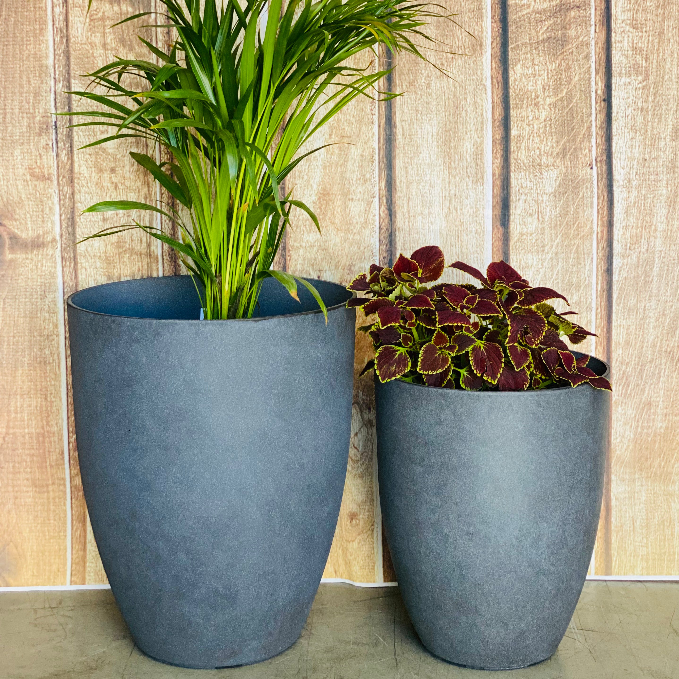 2074 Adam Pot
