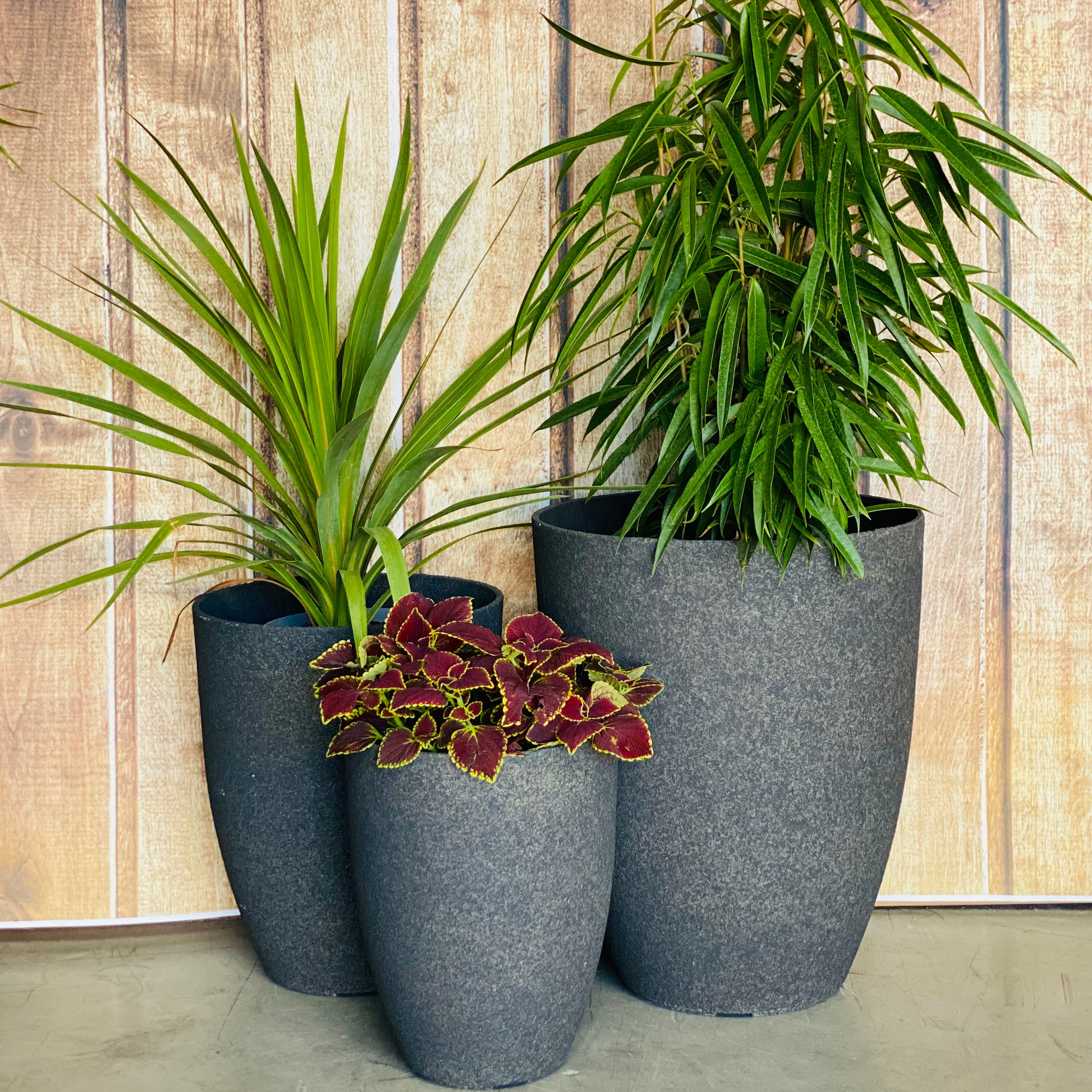 2074 Adam Stone Pot