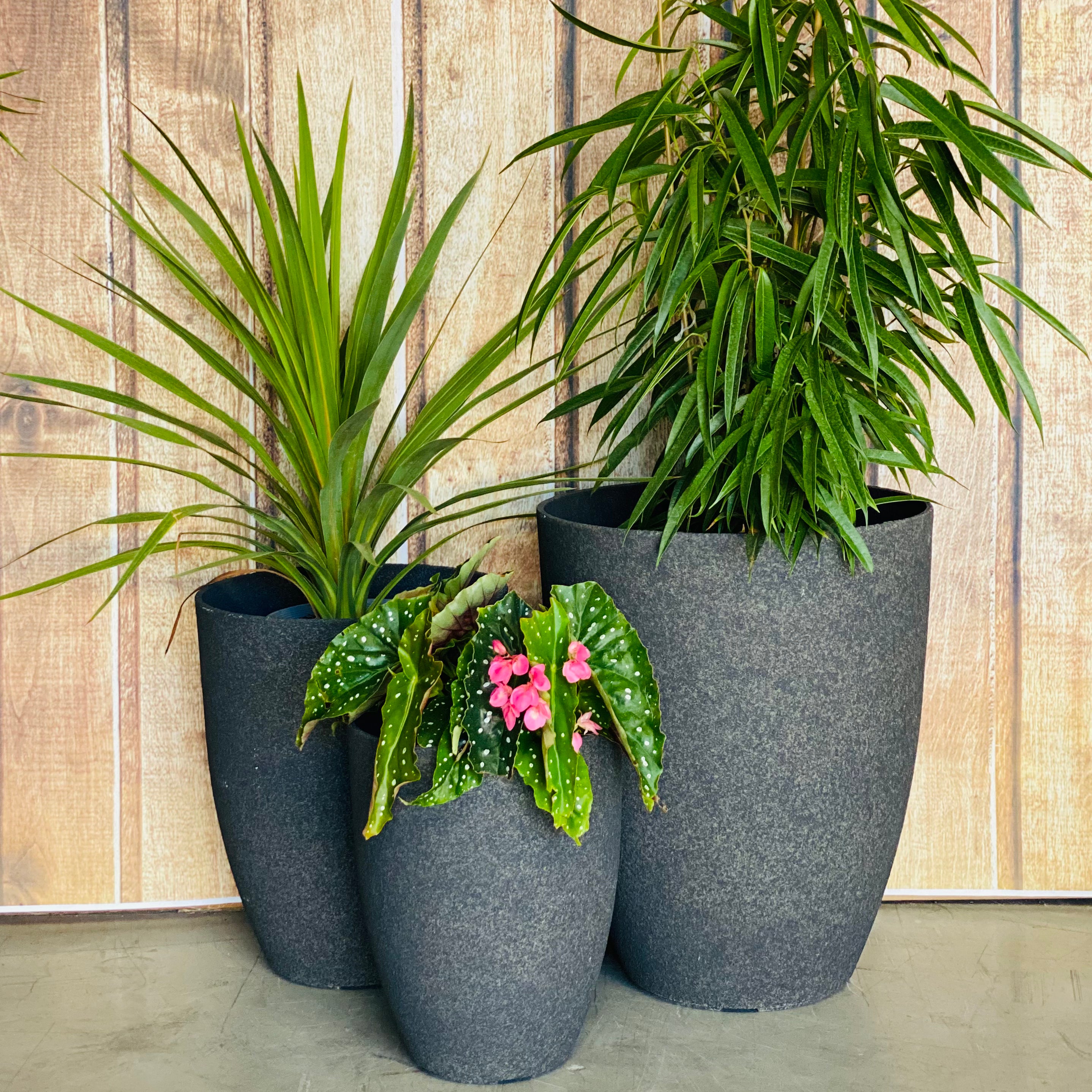 2074 Adam Stone Pot