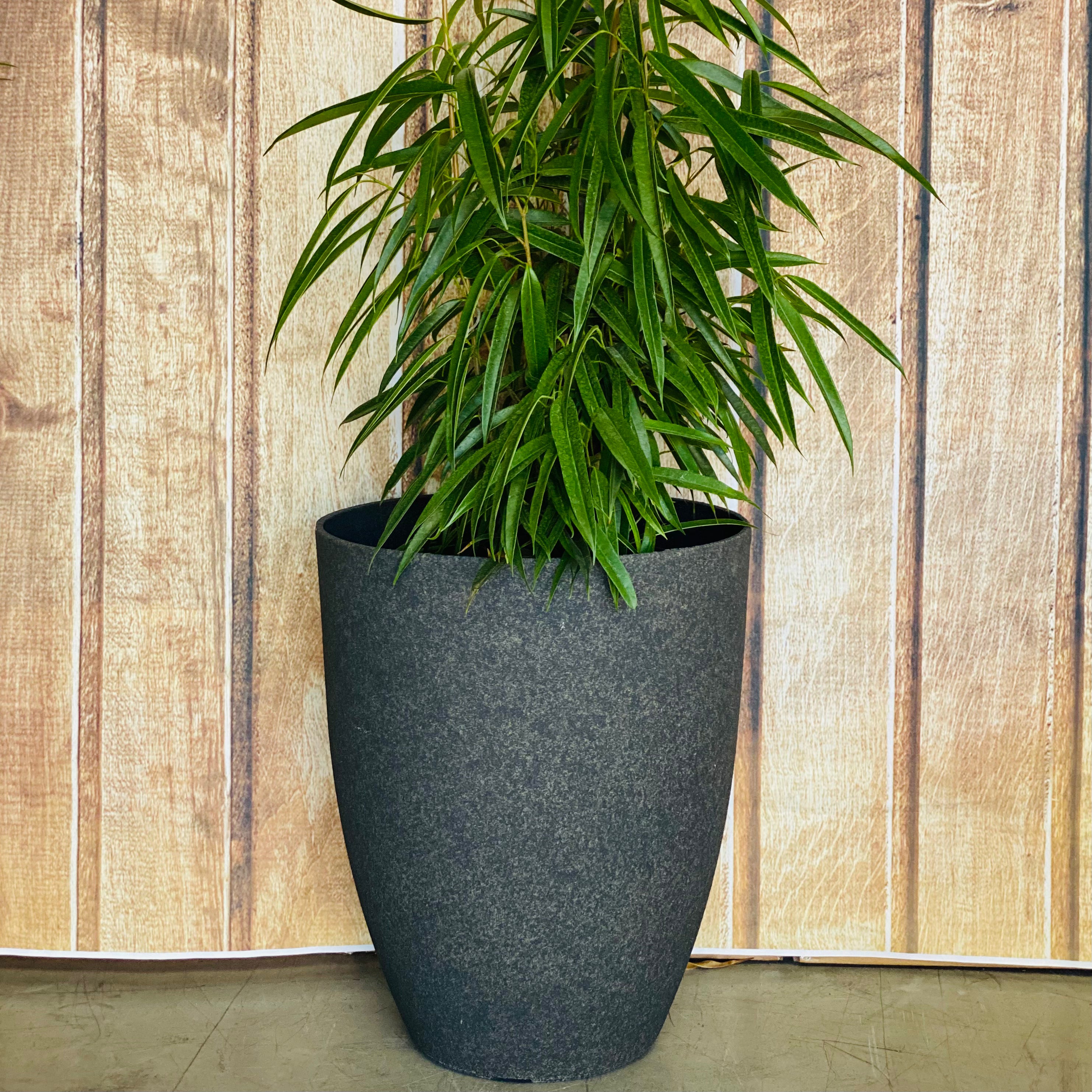 2074 Adam Stone Pot Cream Stone Medium - rough stone finish lightweight pot