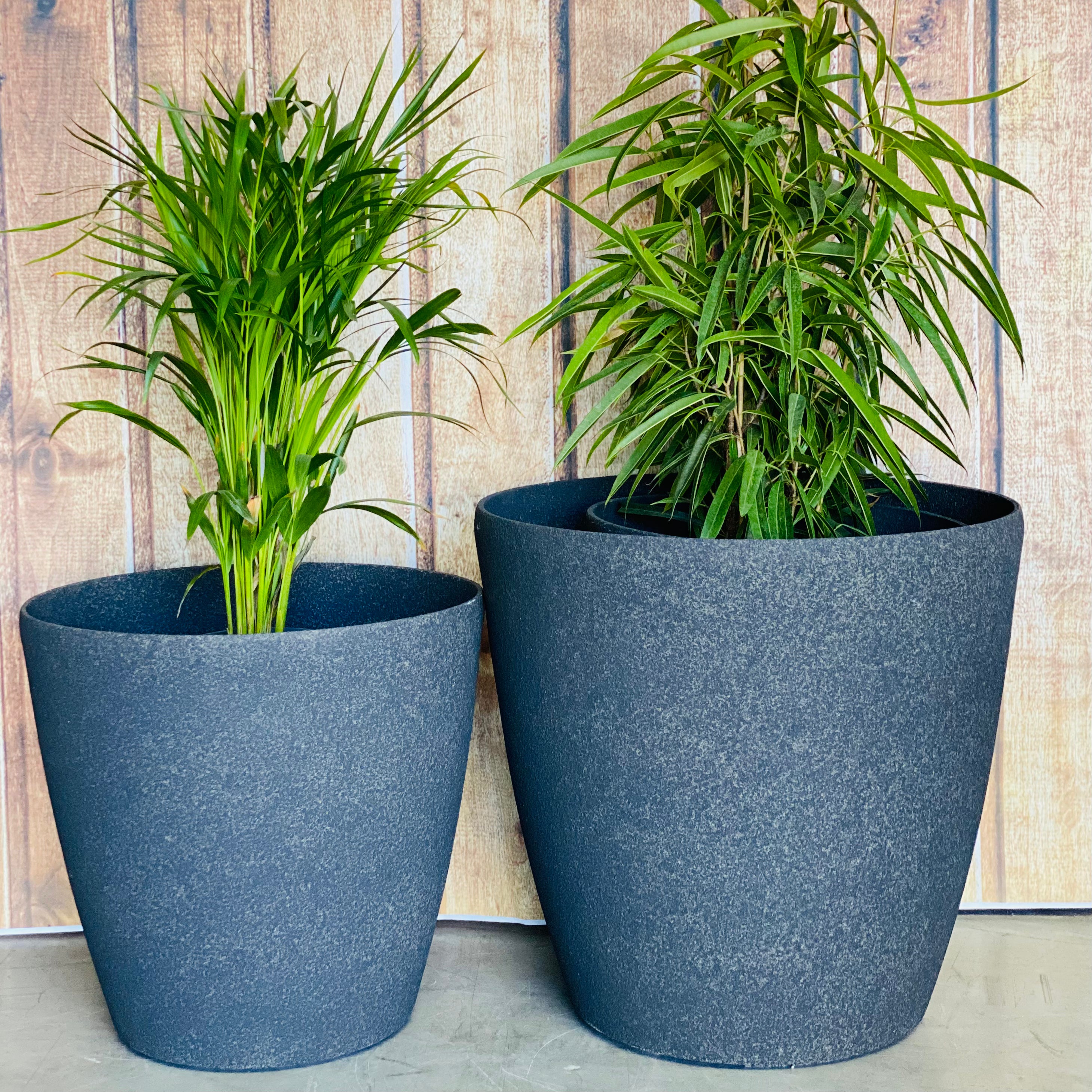 2001 Maxi Stone Pot