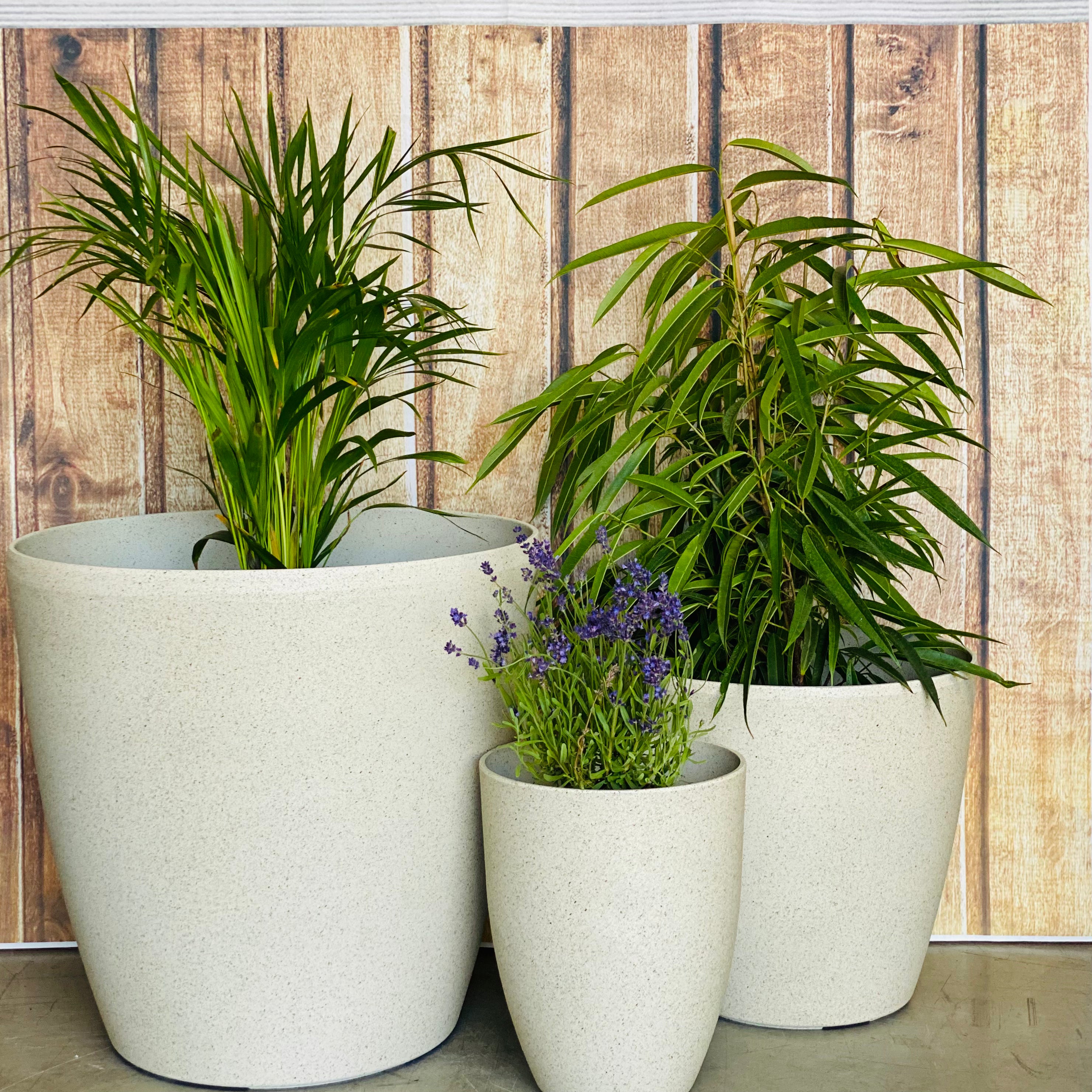 2001 Maxi Stone Pot