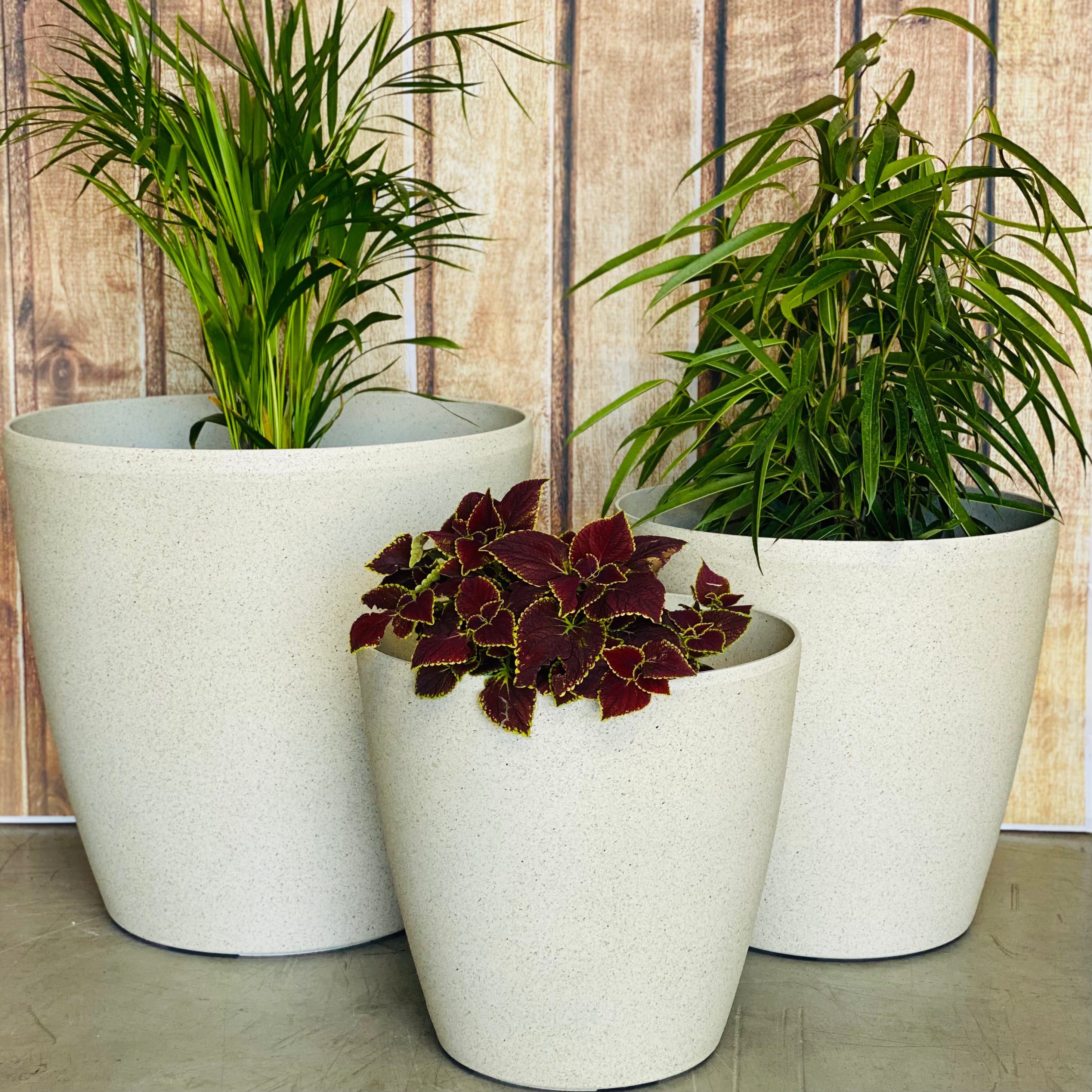 2001 Maxi Stone Pot