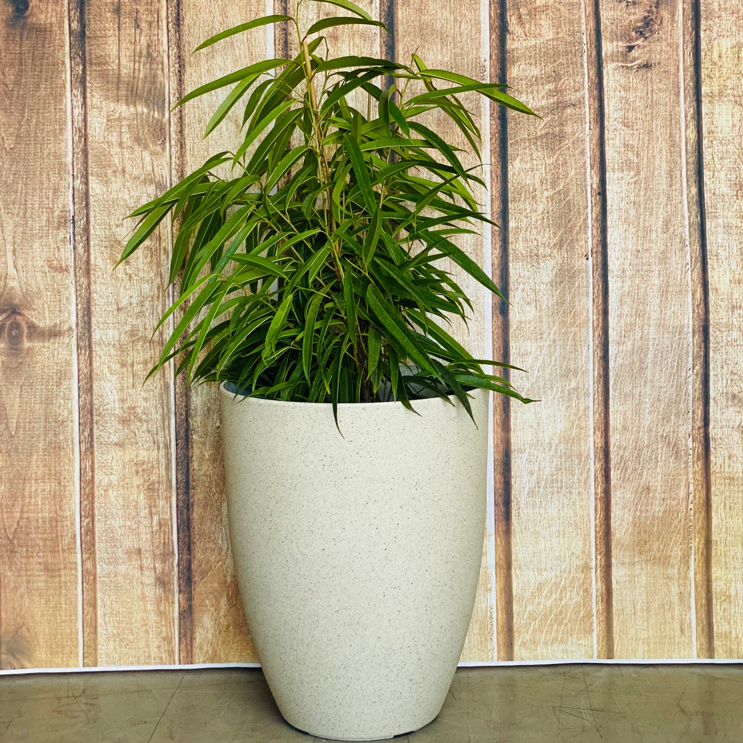 2074 Adam Stone Pot