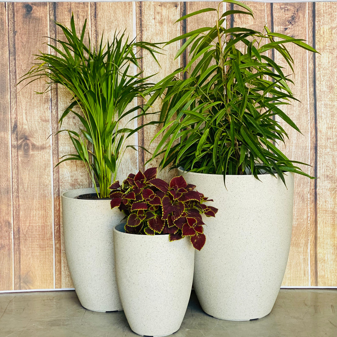 2074 Adam Stone Pot