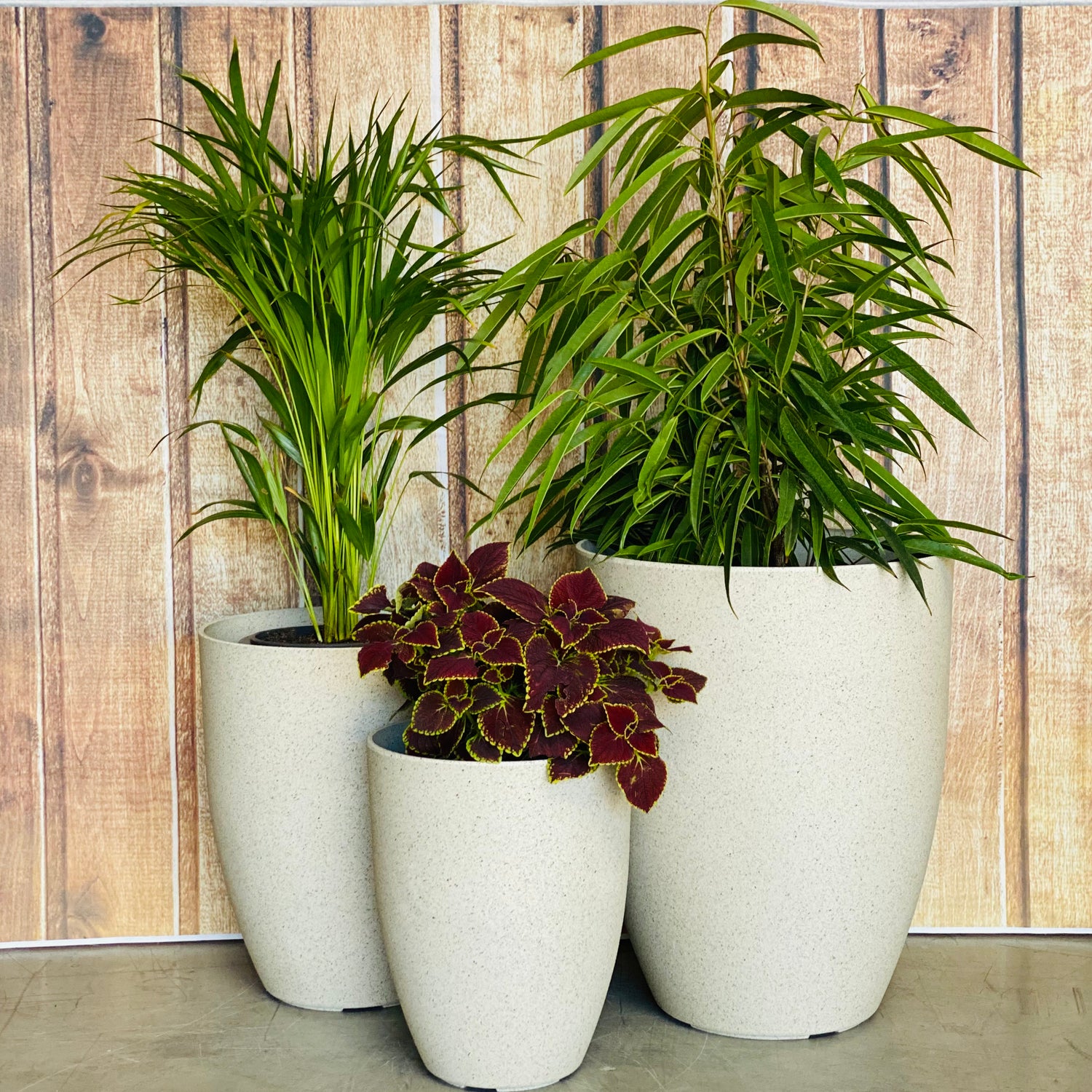 2074 Adam Stone Pot