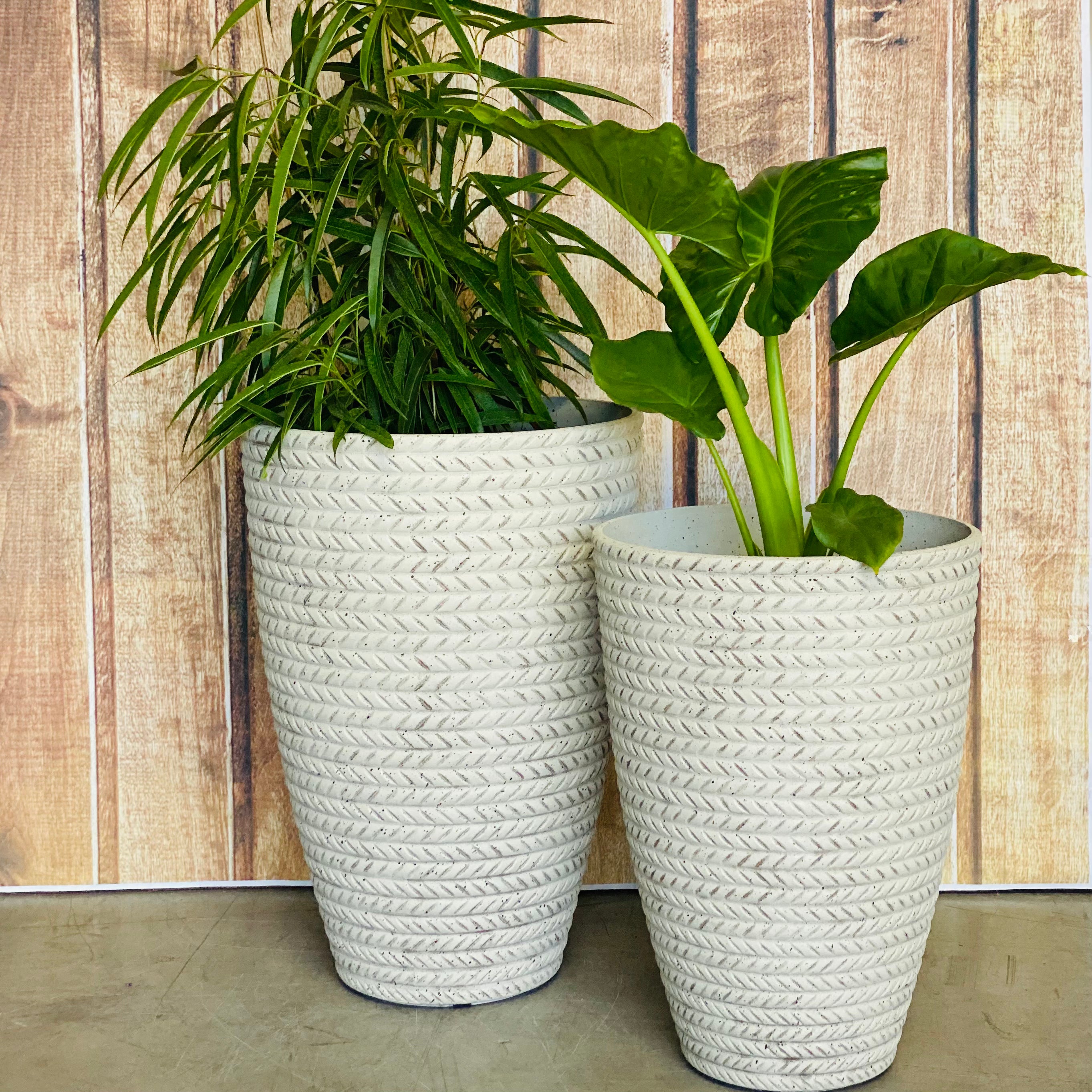 2197 Bradie Pot