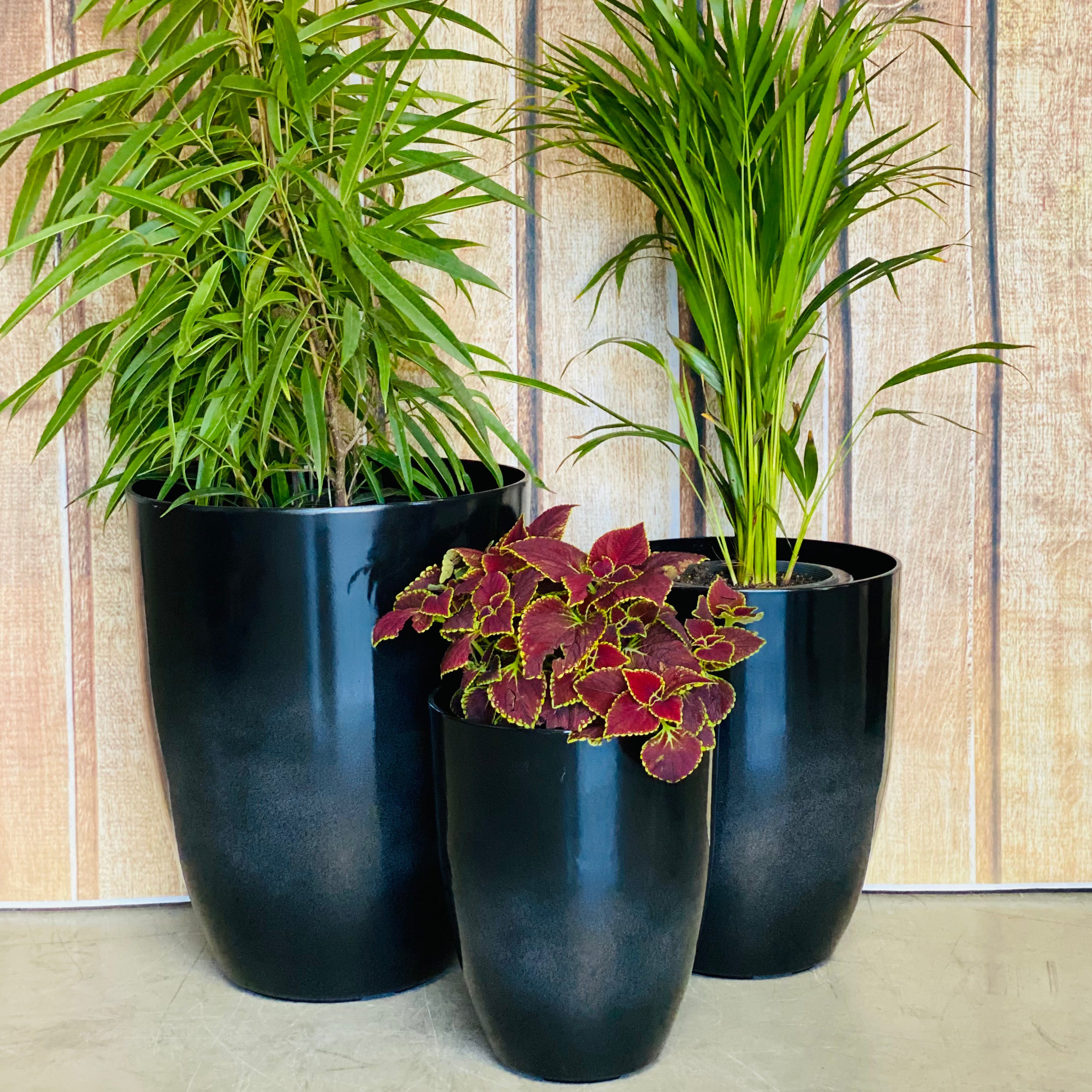 2074 Adam Glazed Pot