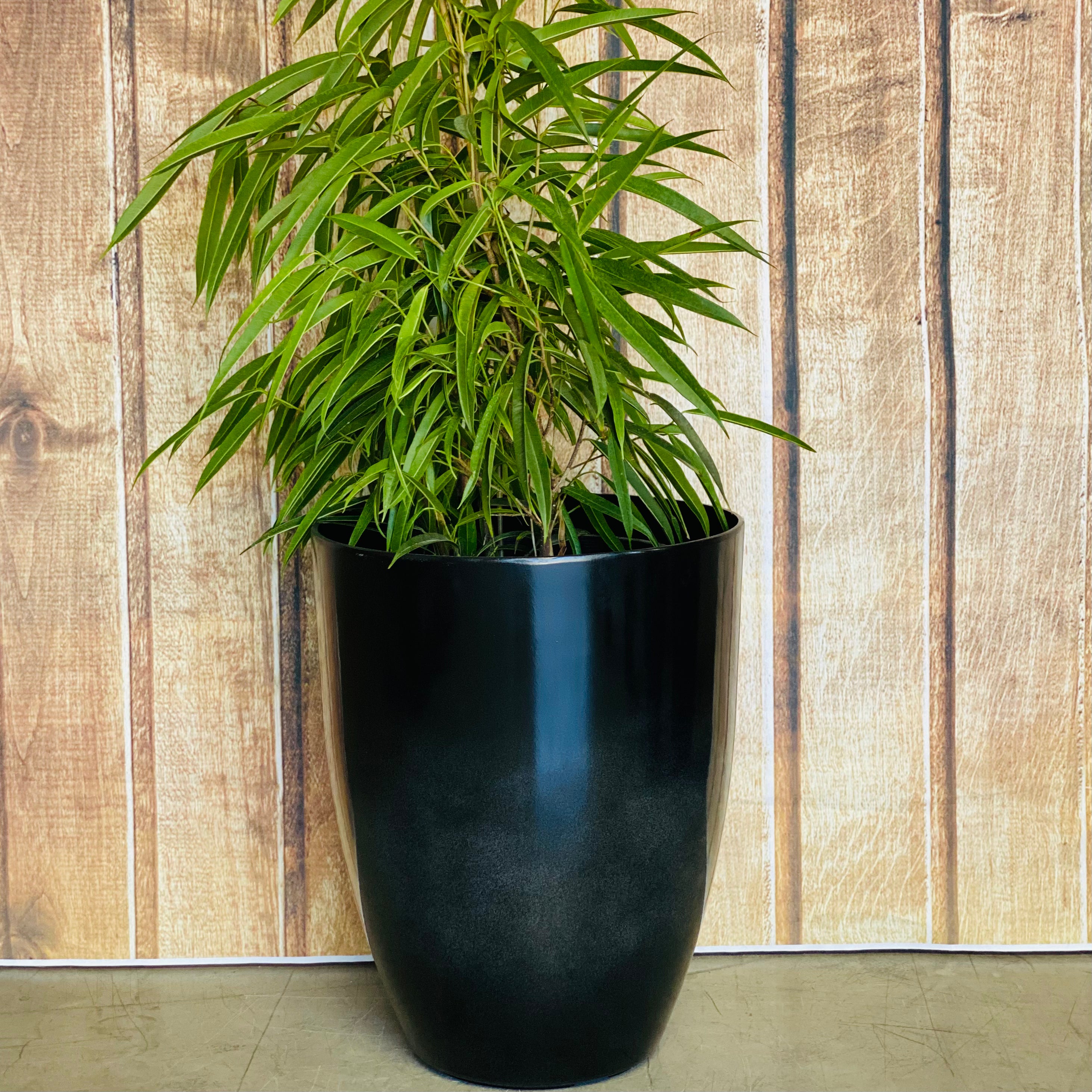 2074 Adam Glazed Pot