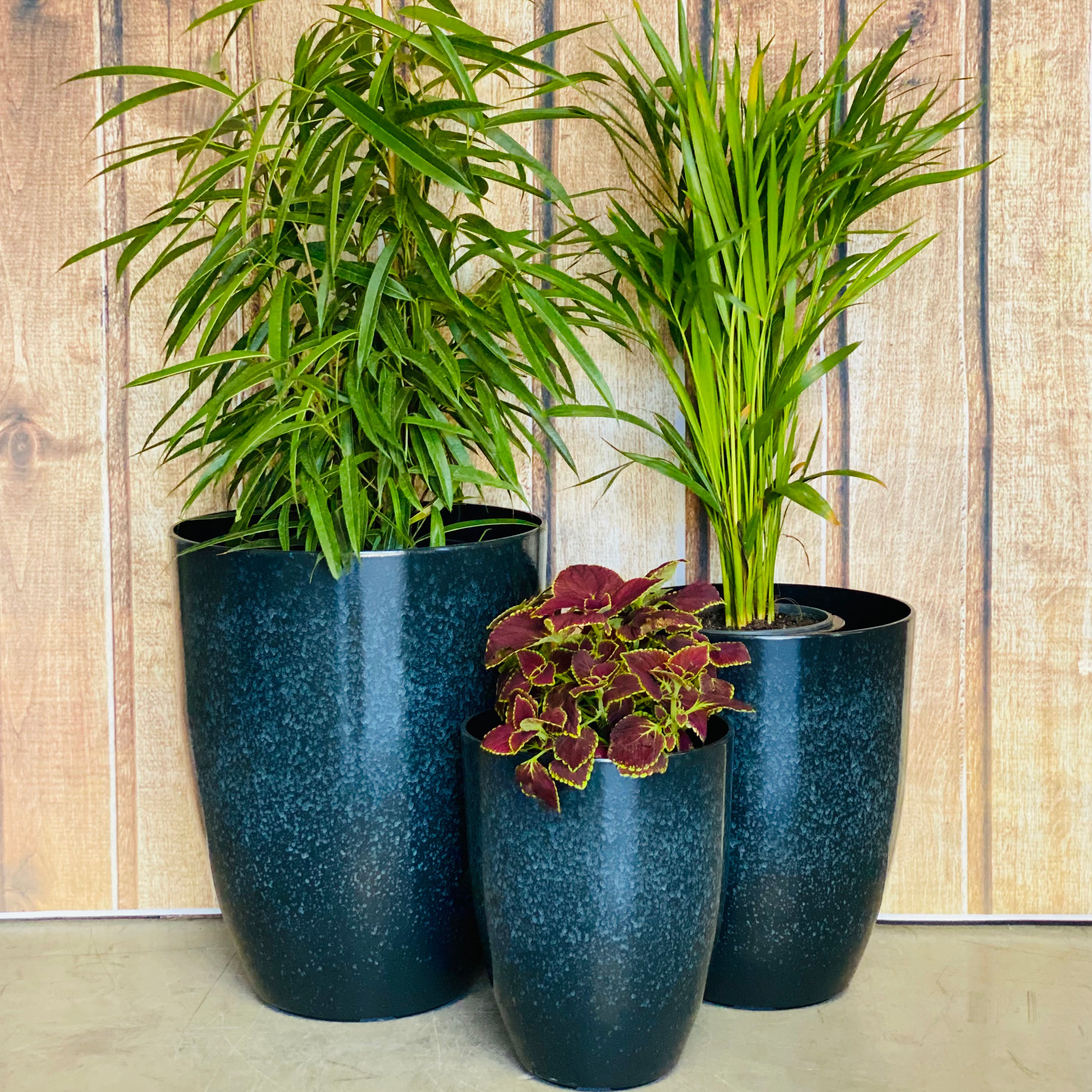 2074 Adam Glazed Pot
