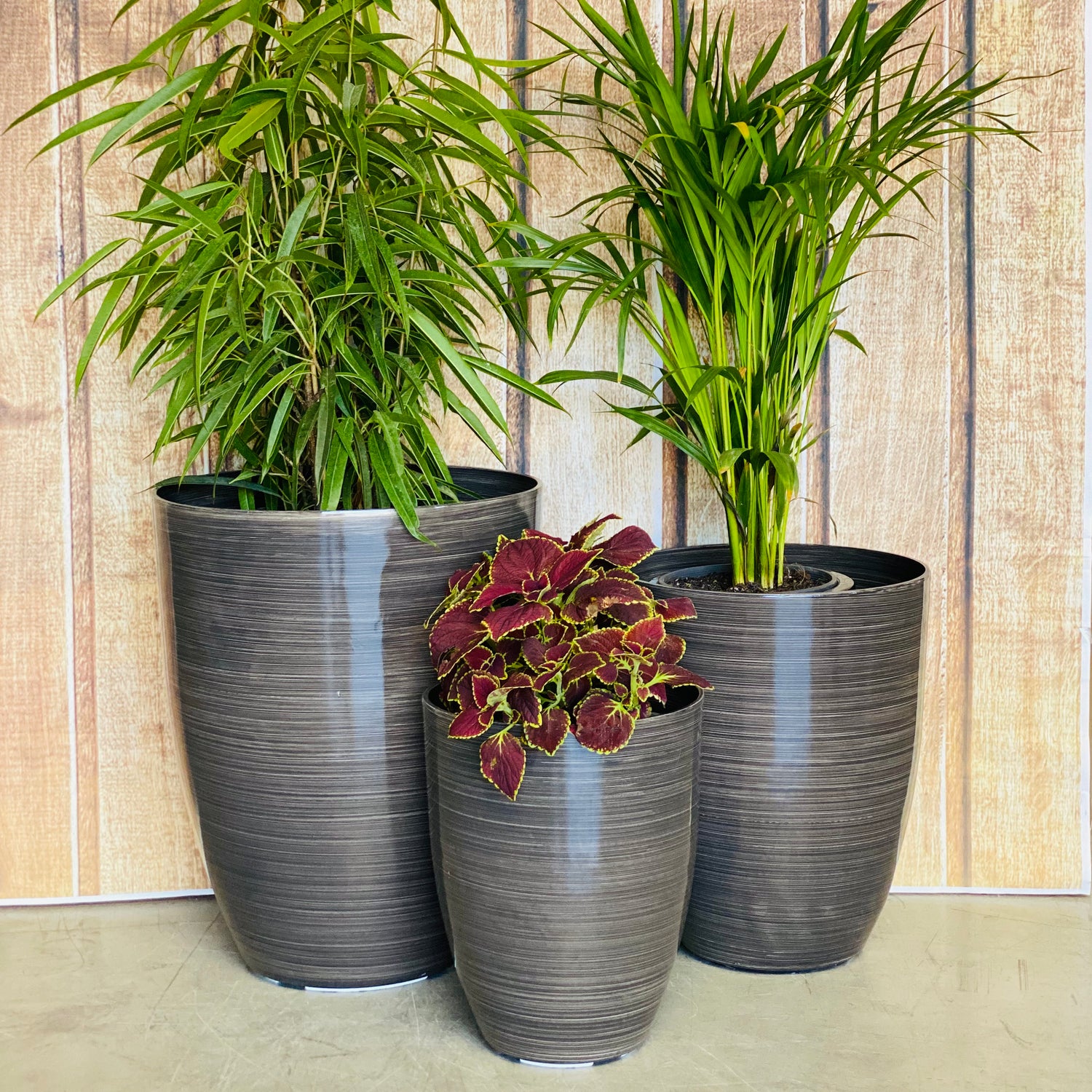 2074 Adam Glazed Pot