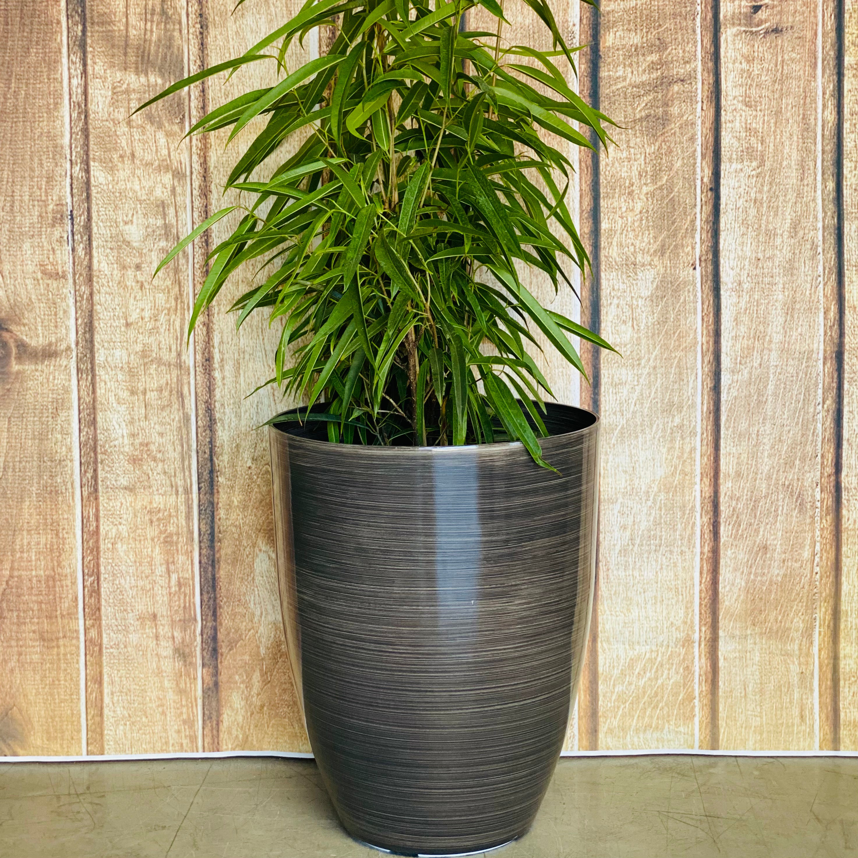 2074 Adam Glazed Pot Wine Burgundy Small - glazed composite pot