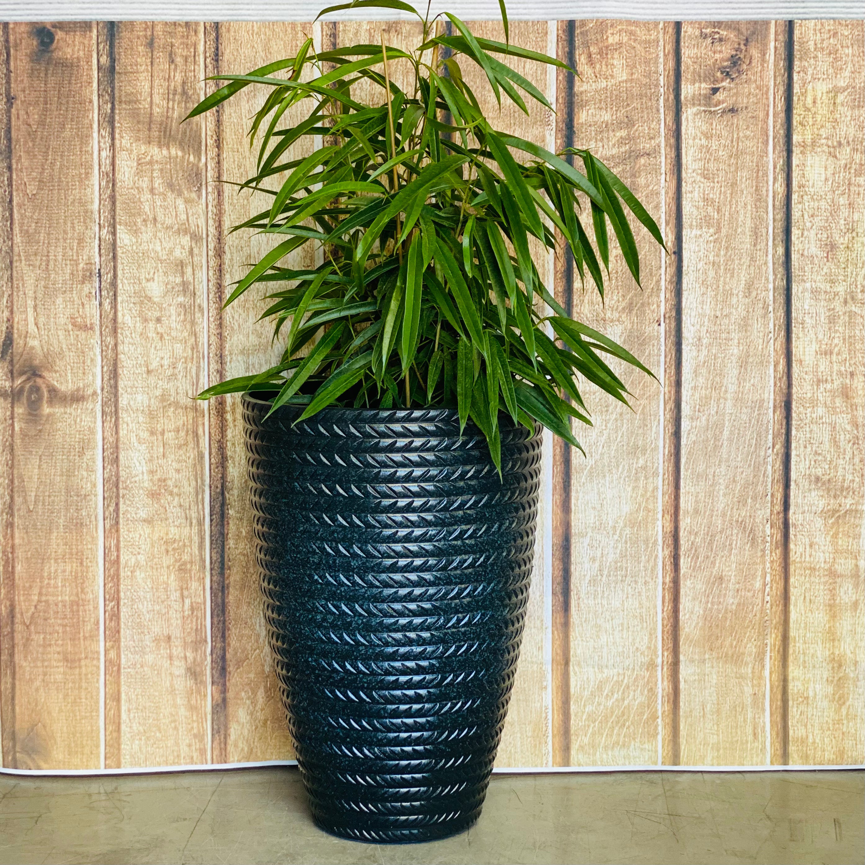 2197 Bradie Glazed Pot