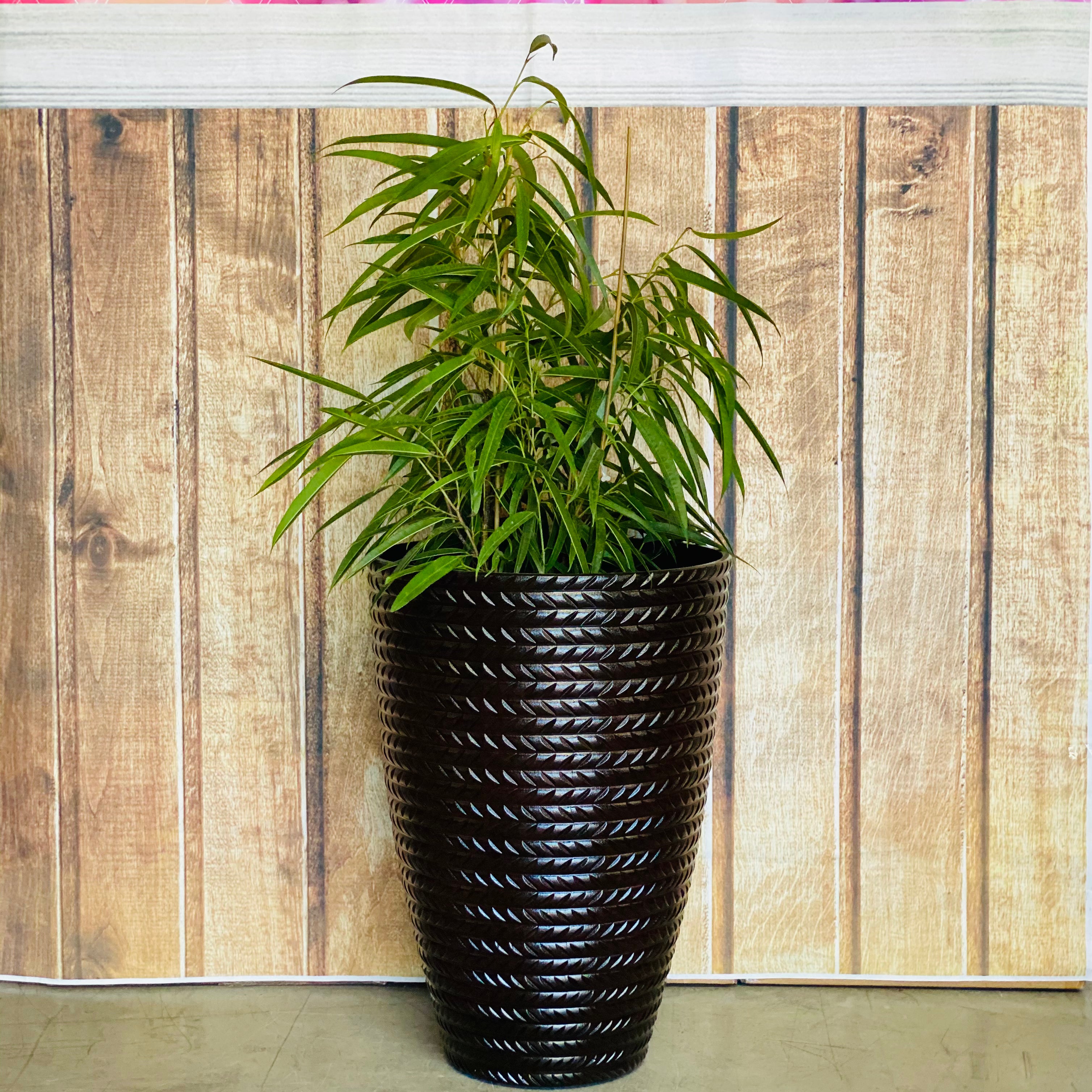 2197 Bradie Glazed Pot