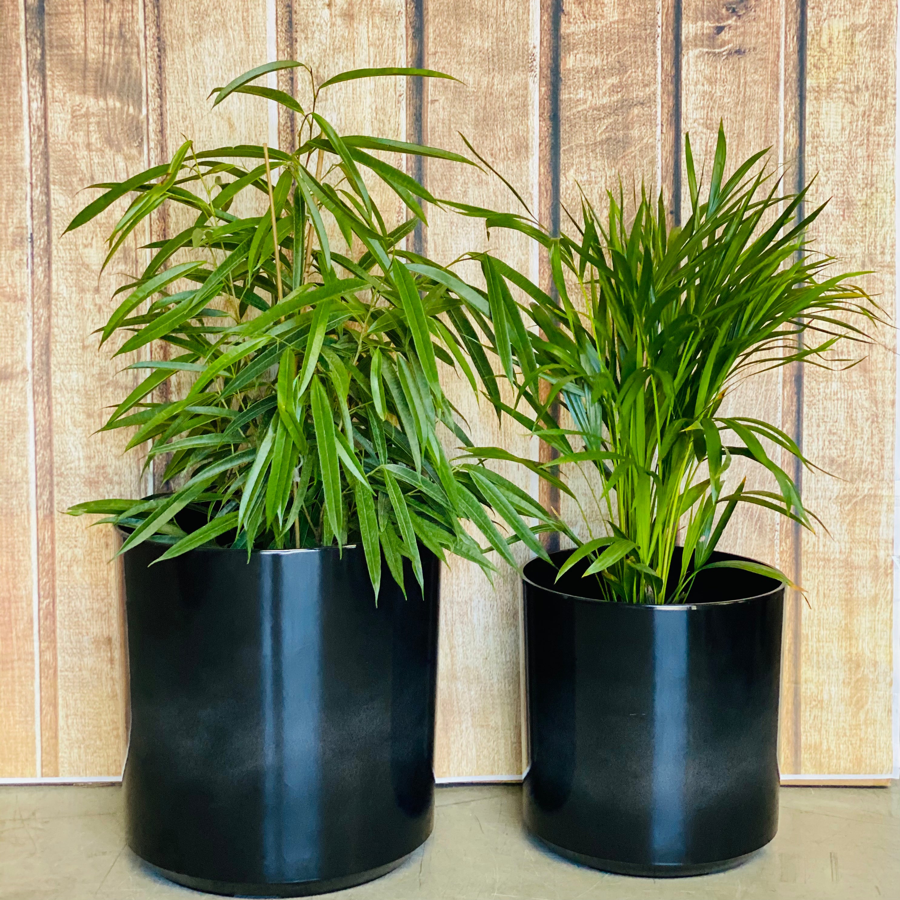 6071 Cylinder Glazed Pot Carbon Black Large - decorative lightweight pot