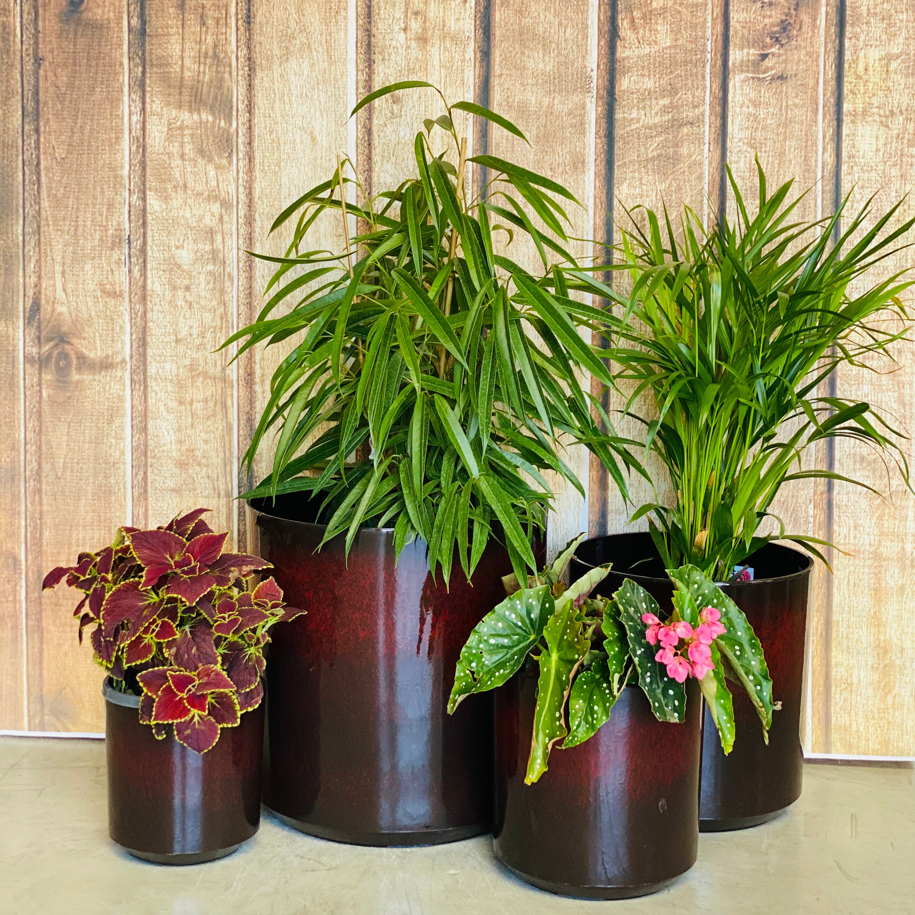 6071 Cylinder Glazed Pot Carbon Black XL - indoor outdoor pot