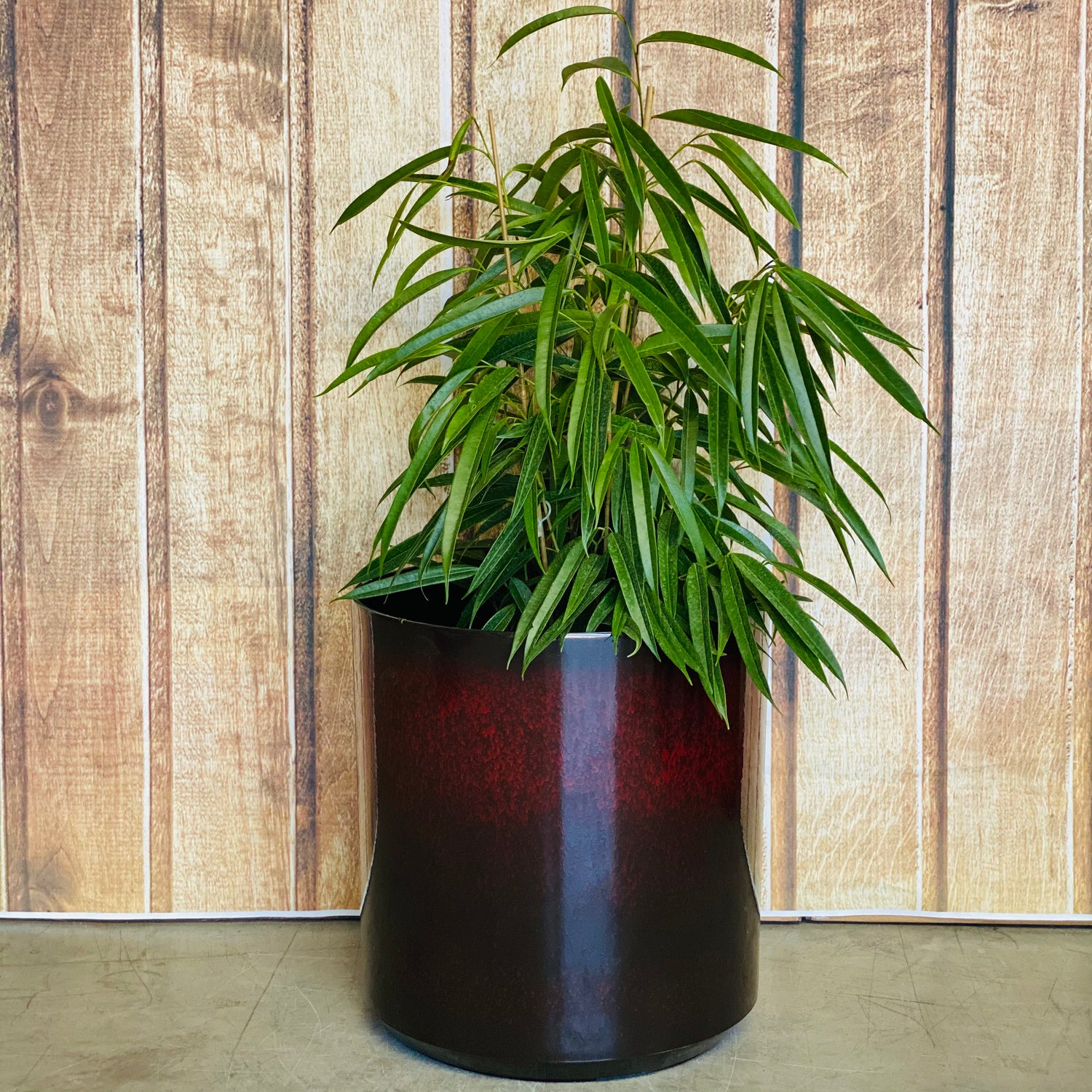 6071 Cylinder Glazed Pot