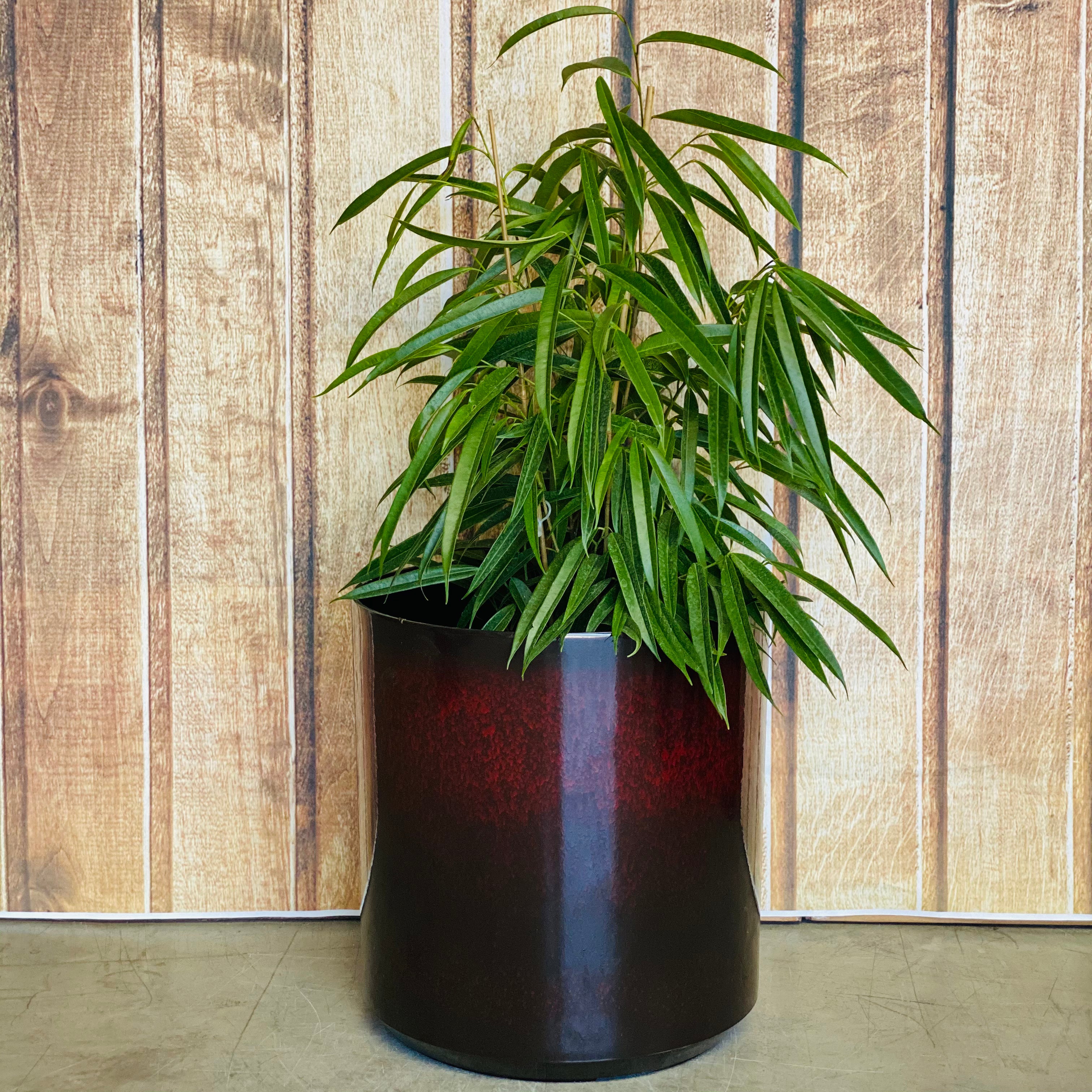 6071 Cylinder Glazed Pot