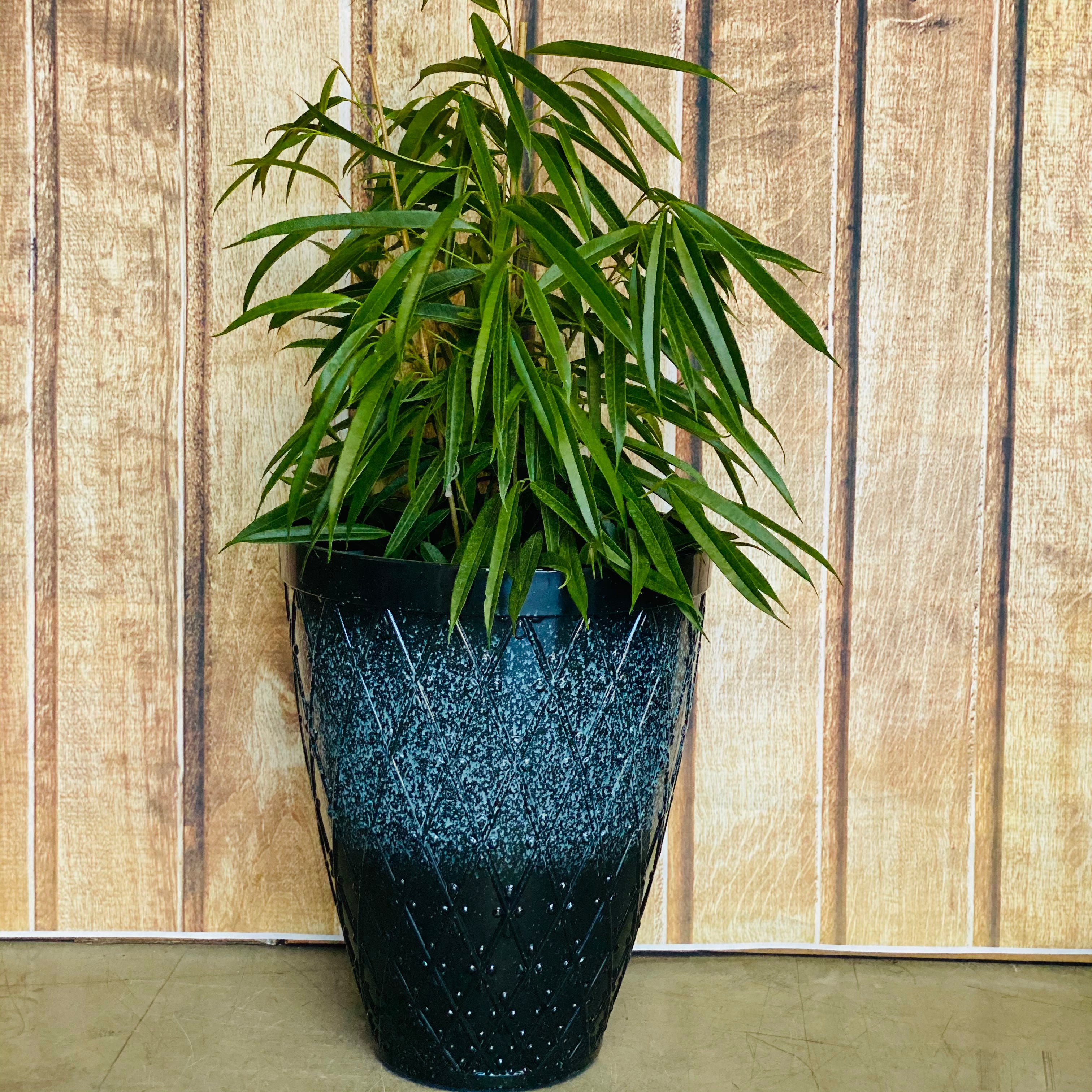 6261 Nailed Pot