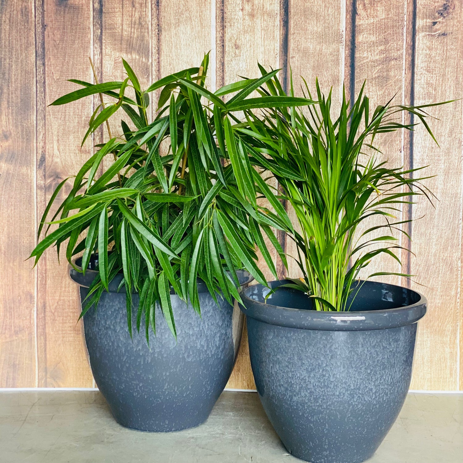 815 Round Glazed Pot