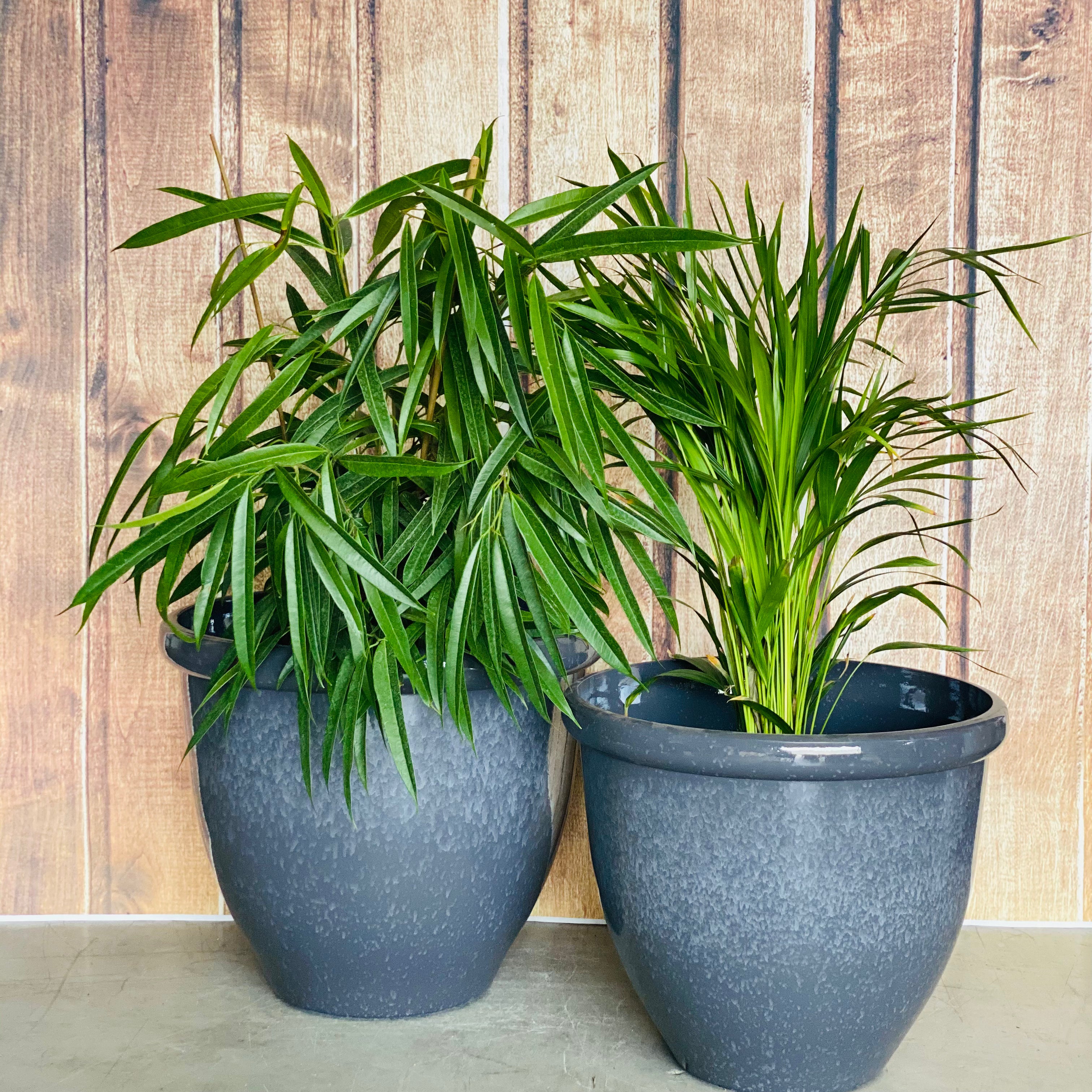 815 Round Glazed Pot