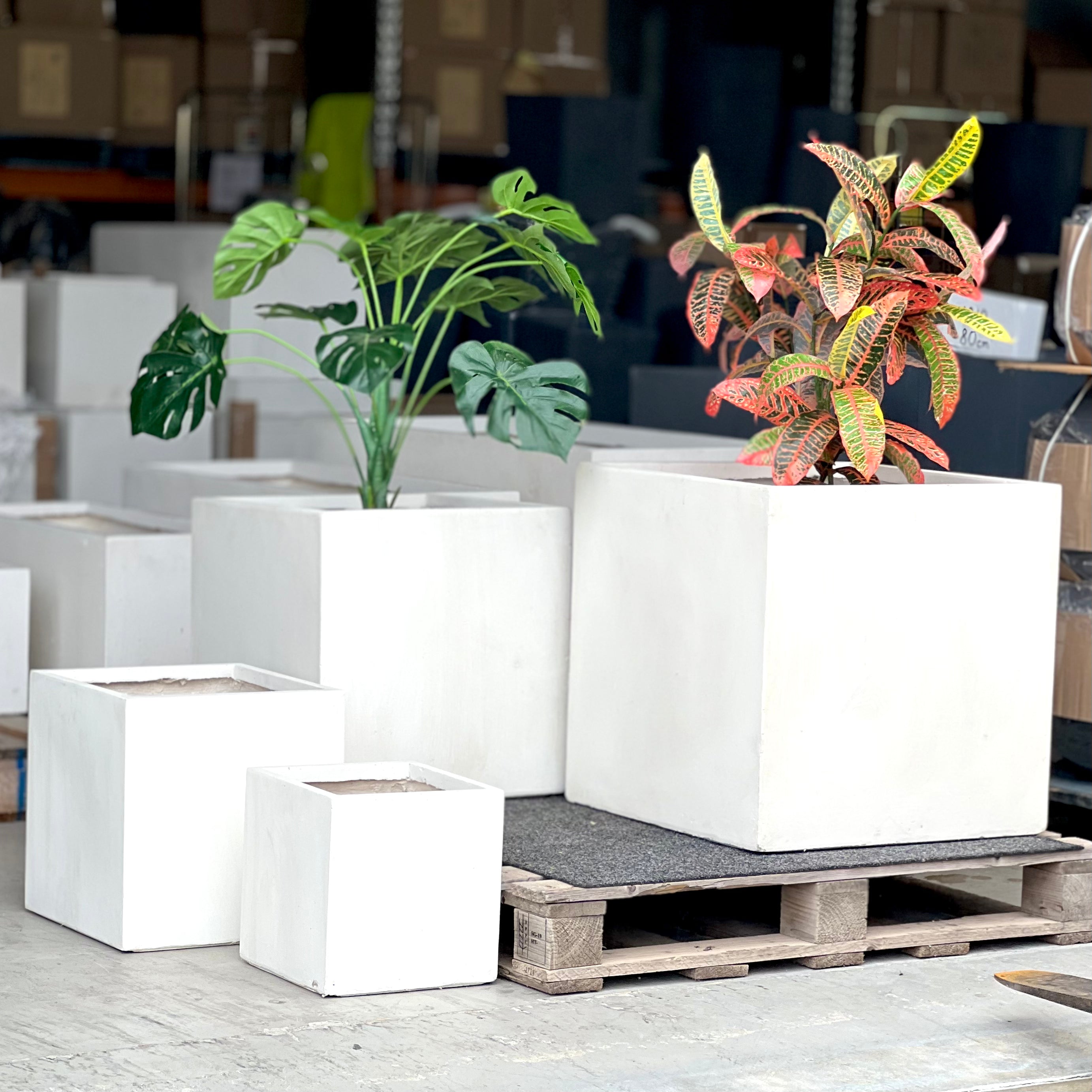 Indoor and Outdoor Large Square Fiberglass Clay Tree Size Pot - 115