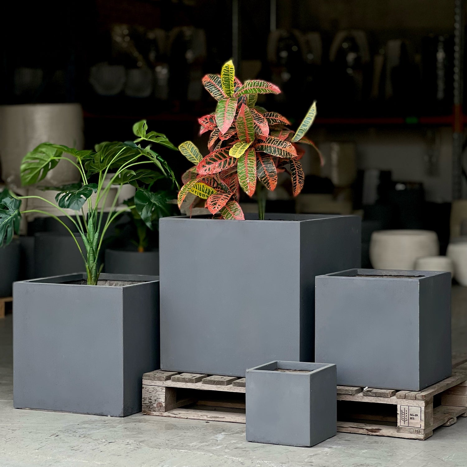 Indoor and Outdoor Large Square Fiberglass Clay Tree Size Pot - 115