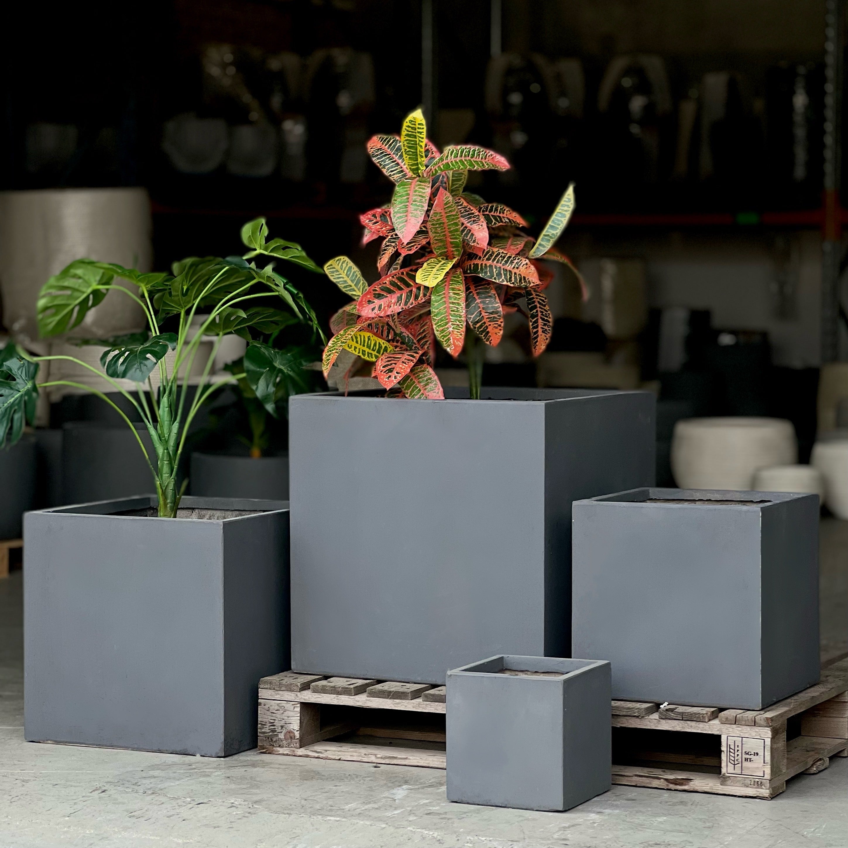 Indoor and Outdoor Large Square Fiberglass Clay Tree Size Pot - 115