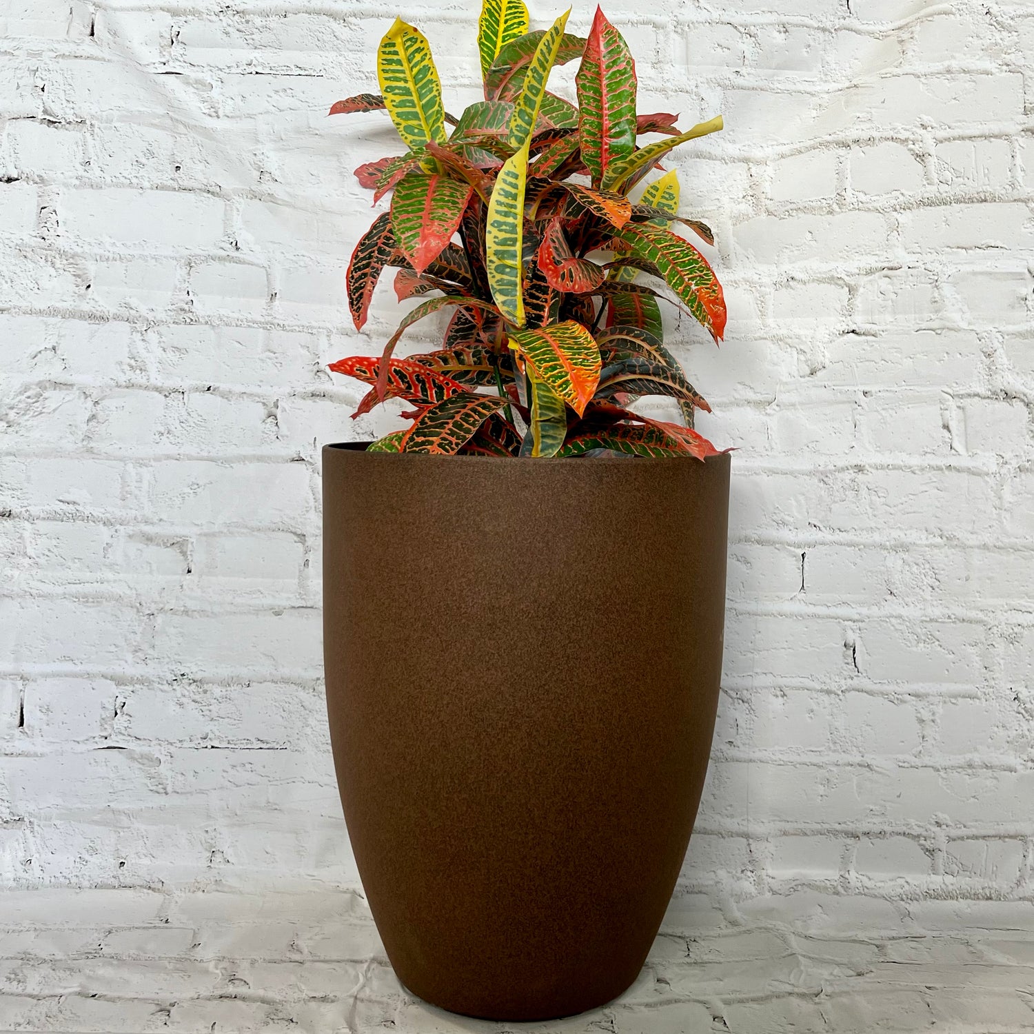 2074 Adam  Pot