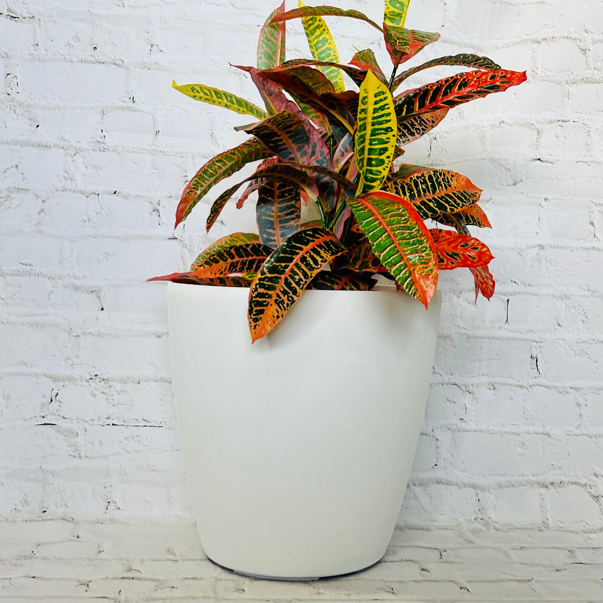 2001 Maxi Pot Small - round tapered smooth lightweight pot