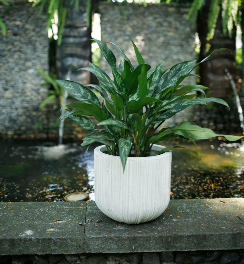 Indoor or Outdoor Round Wide Pot with Brushed Texture in Lightweight Fiberglass Clay - 1546