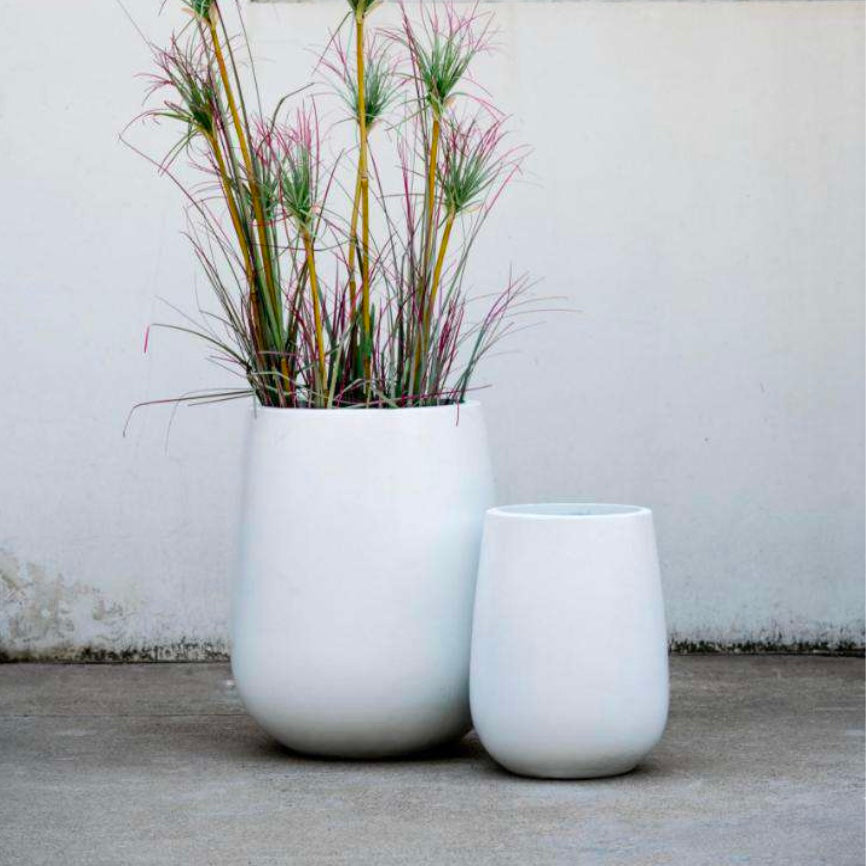 EGG TALL - PR36