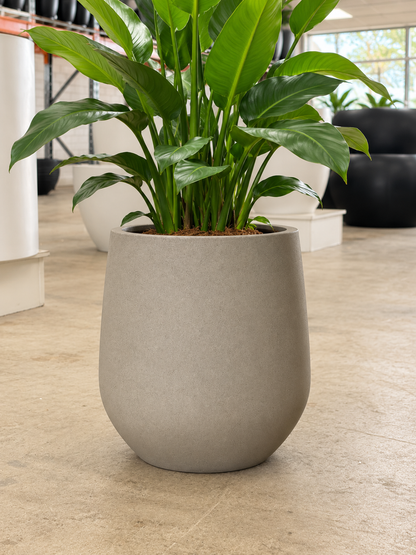 WILSON Planter – Lightweight Indoor and Outdoor Pots