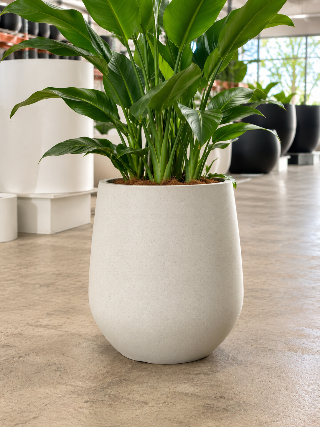 WILSON Planter – Lightweight Indoor and Outdoor Pots