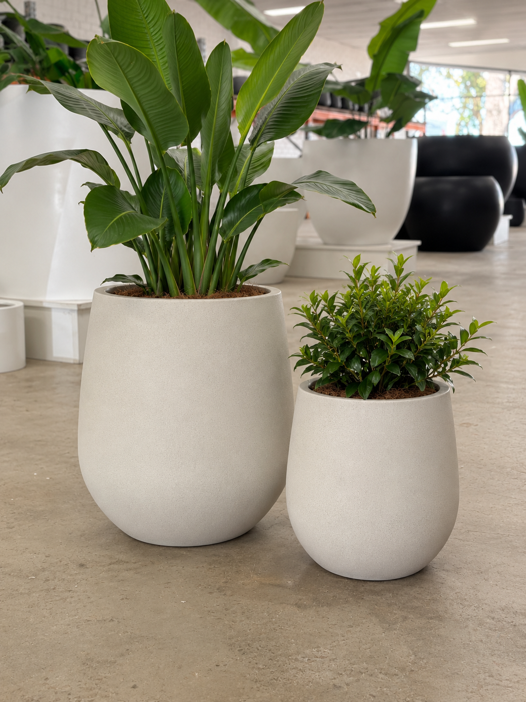 WILSON Planter – Lightweight Indoor and Outdoor Pots