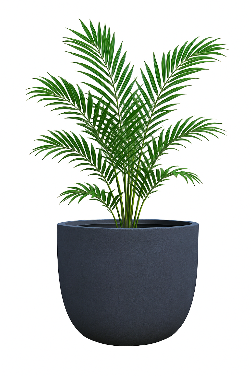 JUMBO Lightweight Round Pot – Extra Large Planter for Trees &amp; Feature Plants