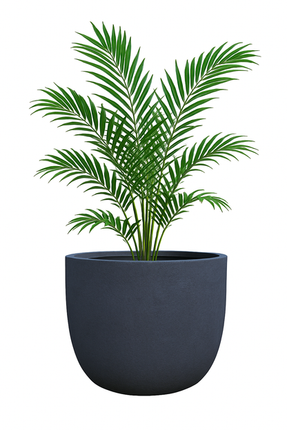 JUMBO Lightweight Round Pot  – Extra Large Planter for Trees &amp; Feature Plants