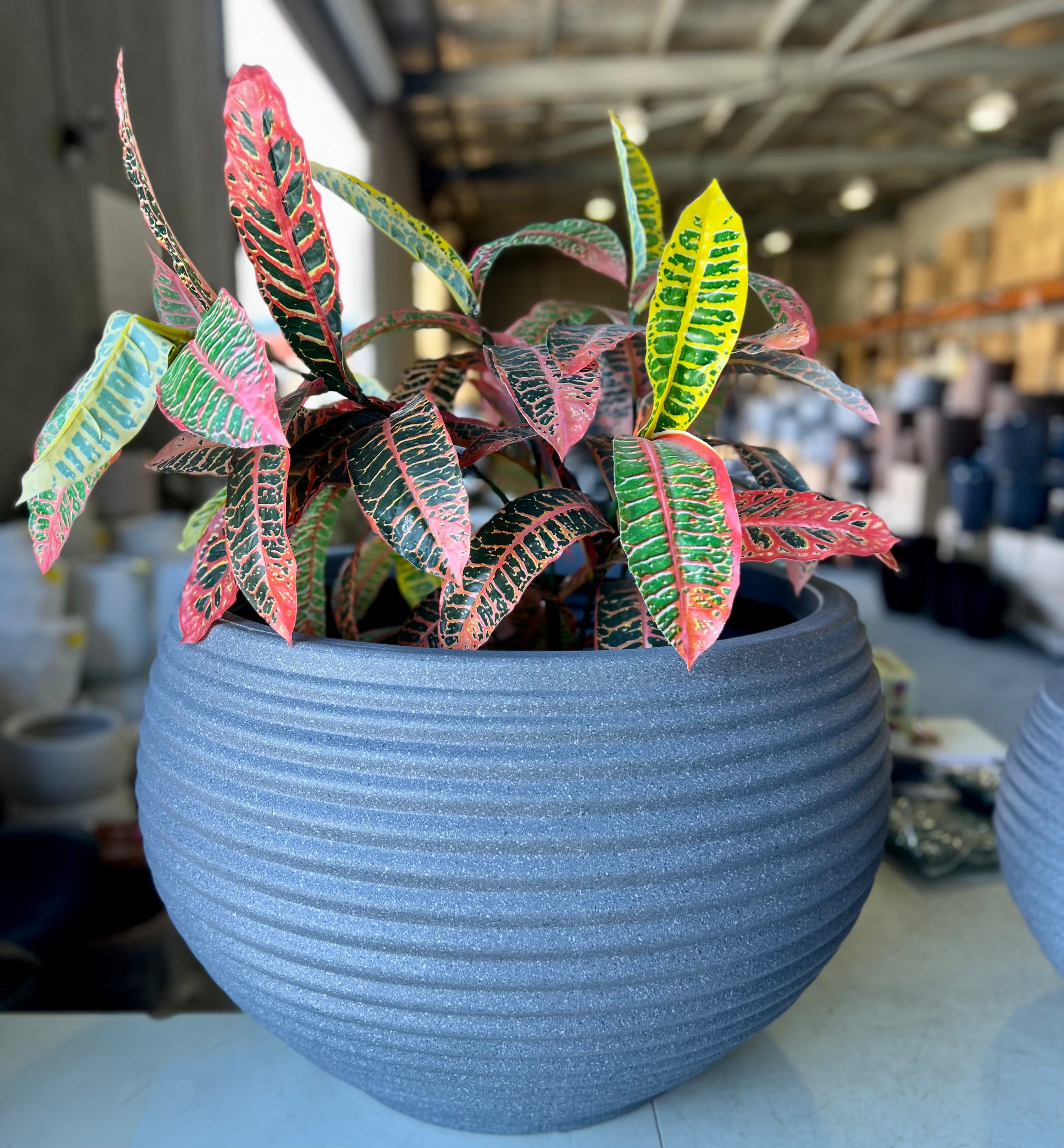 RippleLite Bowl Mediterranean Grey Medium - coastal ribbed lightweight pot