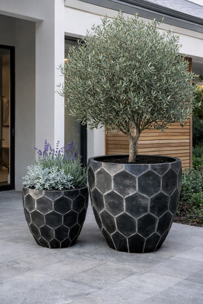 HONEYCOMB - Indoor or Outdoor Fiberclay Lightweight Pot with Honeycomb Texture - DR78