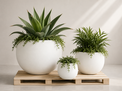 GLOBE PLANTER