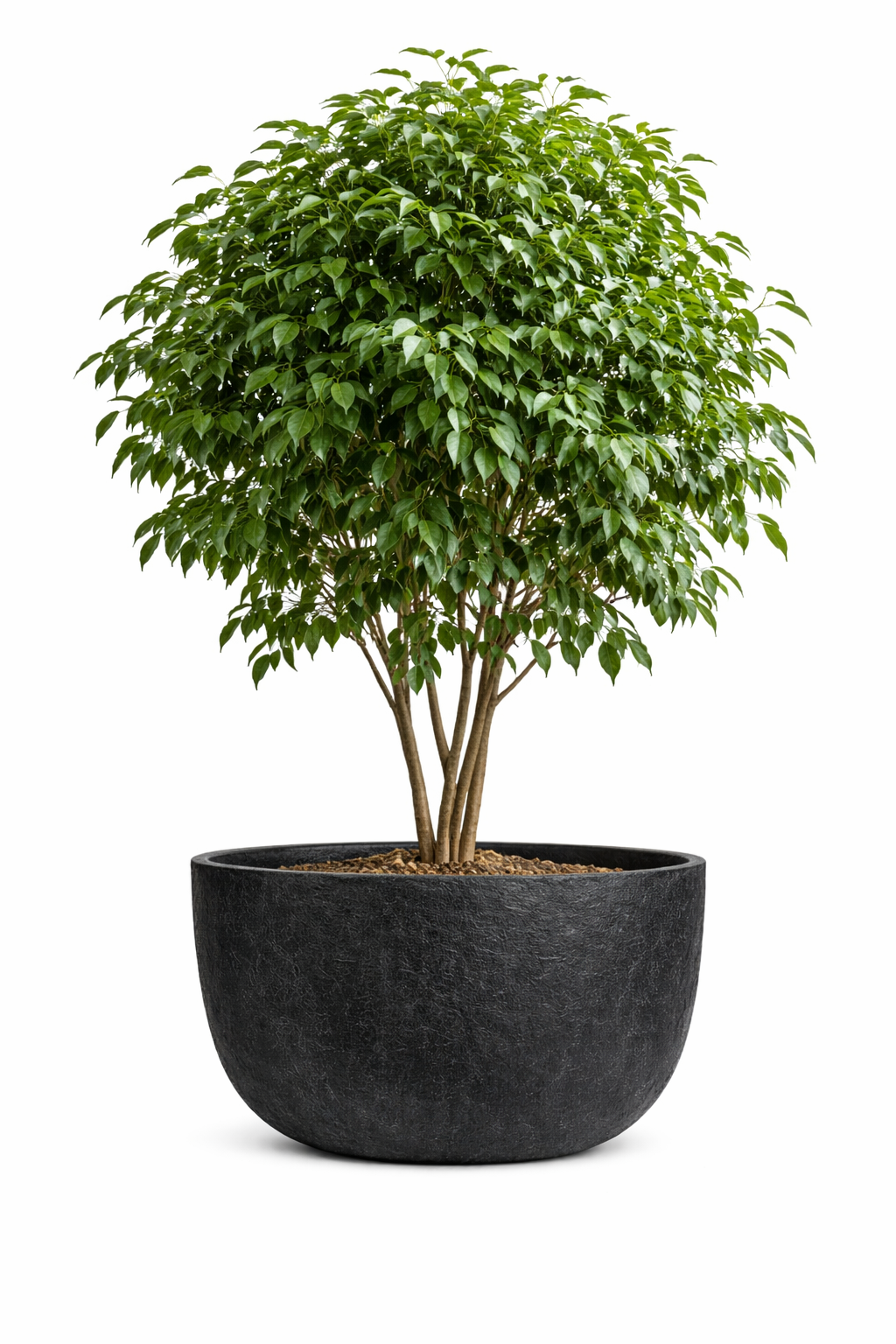 JUMBO LOW - Lightweight Stone Bowl Planter