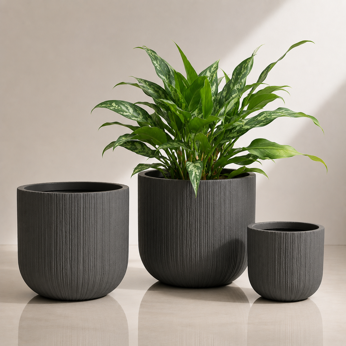 BRUSHED UP Wide Round Fiber Clay Pot - 1546