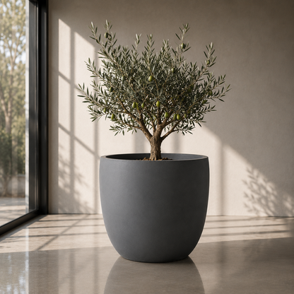 BIG BUDDHA Lightweight Round Pot – Indoor &amp; Outdoor Statement Planter (Fibreglass/Clay Blend) - 101