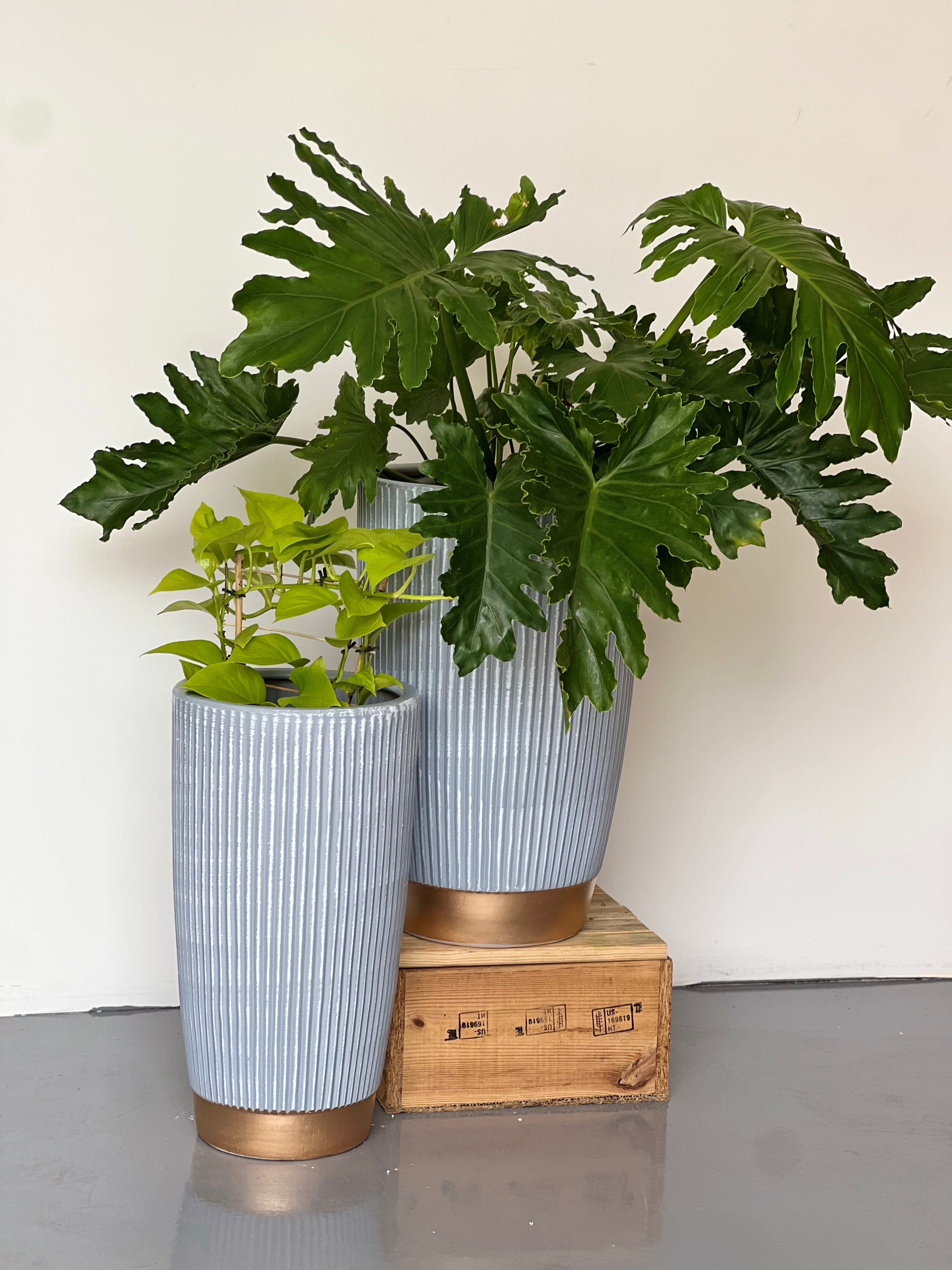 Ribbed Grey-Gold CL-28 Medium - lightweight ribbed grey gold pot