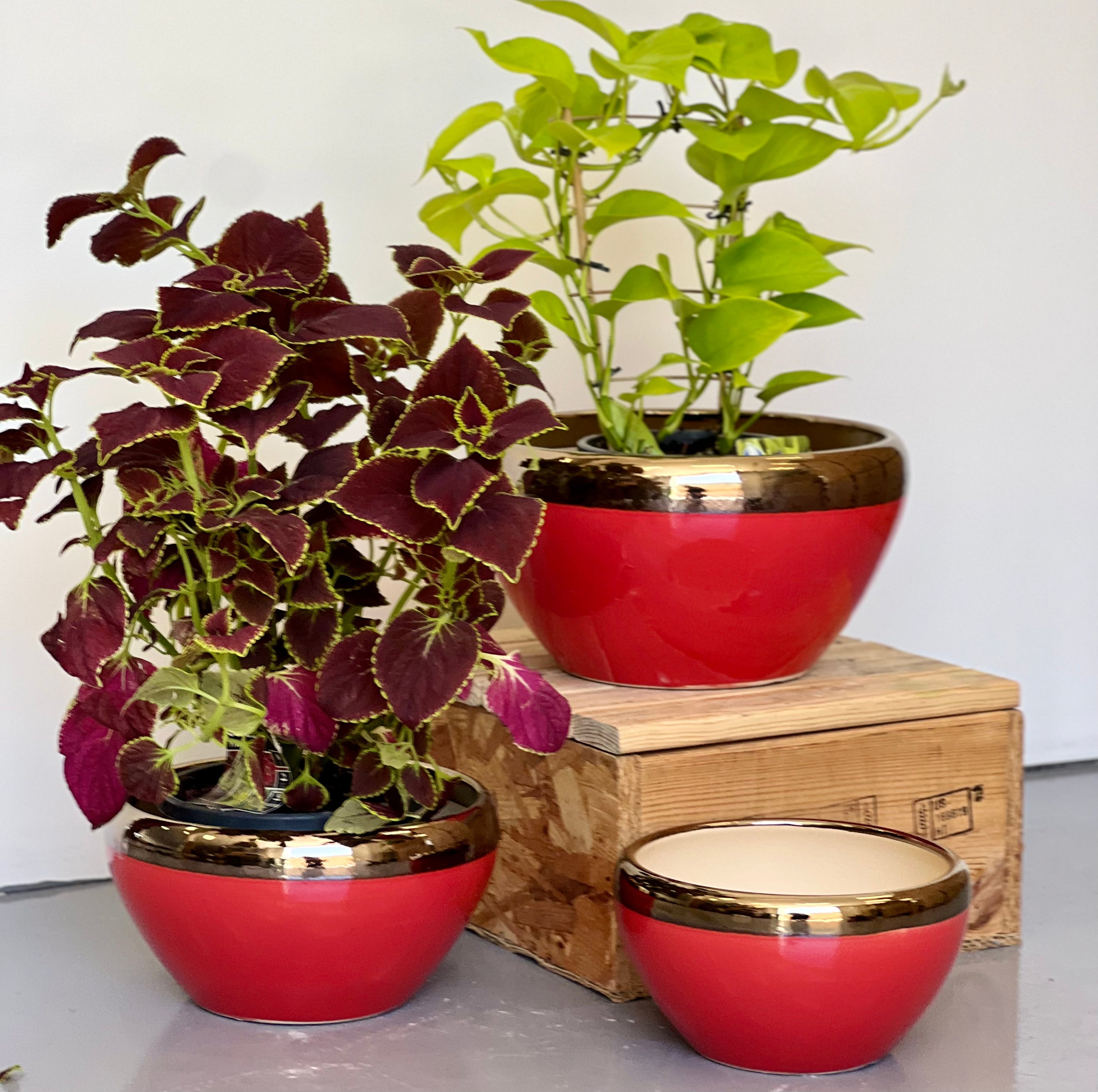 RED BOWL CL-09 - lightweight red decorative bowl pot