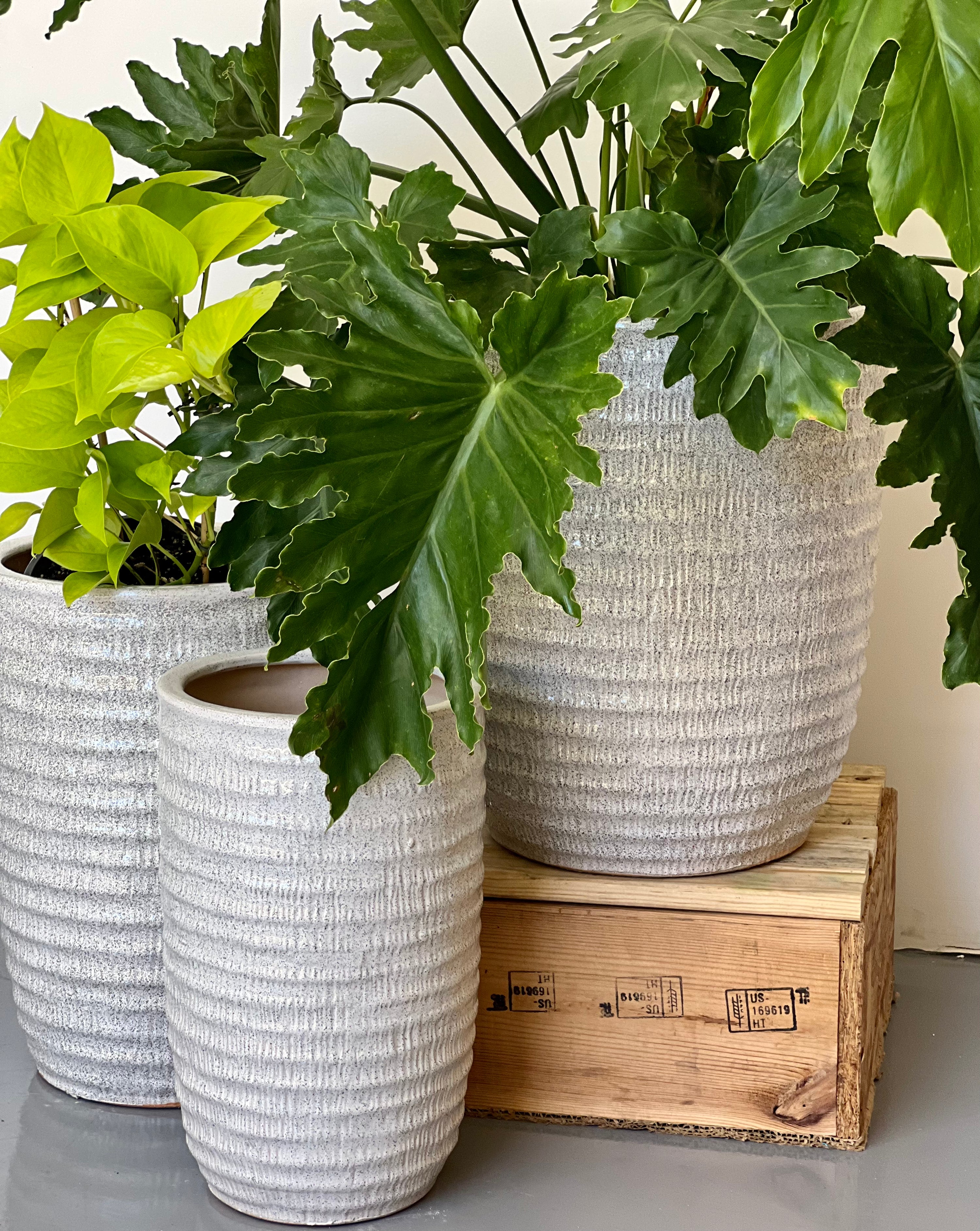 WAVY Cream CL-33 - lightweight wavy cream decorative pot