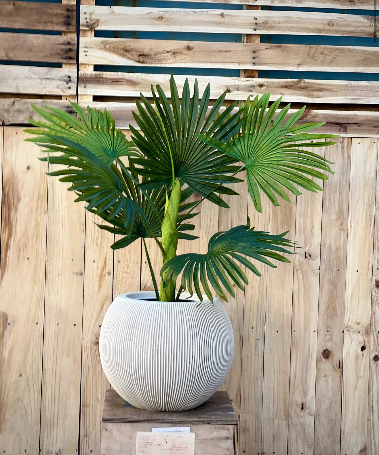 LinearLite - LineaLite Collection – Extra Lightweight Fluted Pots in Modern Vertical Design