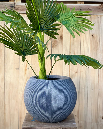 LinearLite - LineaLite Collection – Extra Lightweight Fluted Pots in Modern Vertical Design